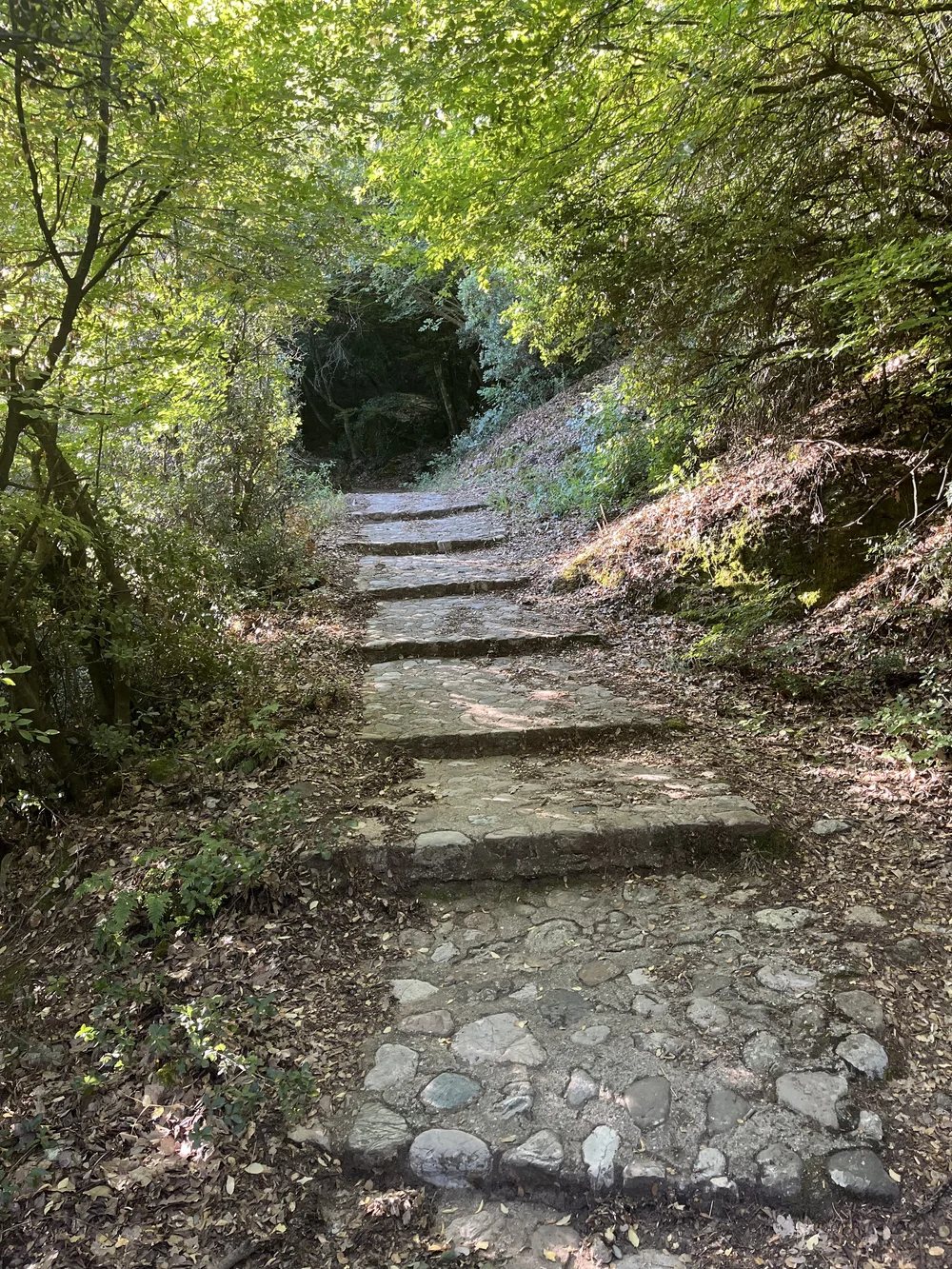 The path to Agia Triada