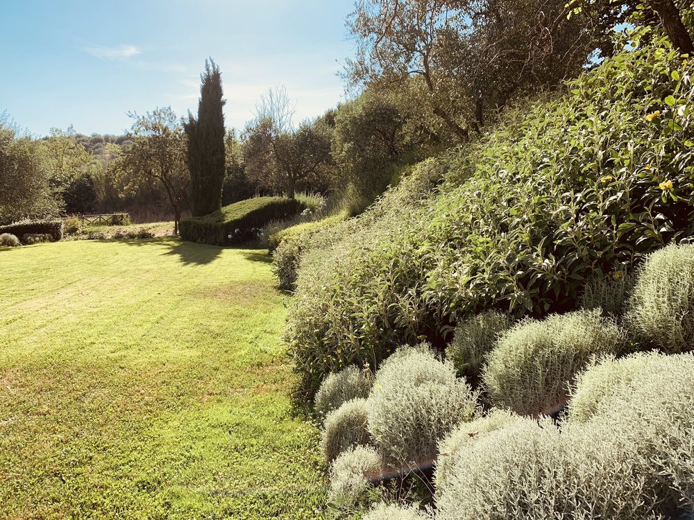 Gardens at Tenuta Santo Pietro