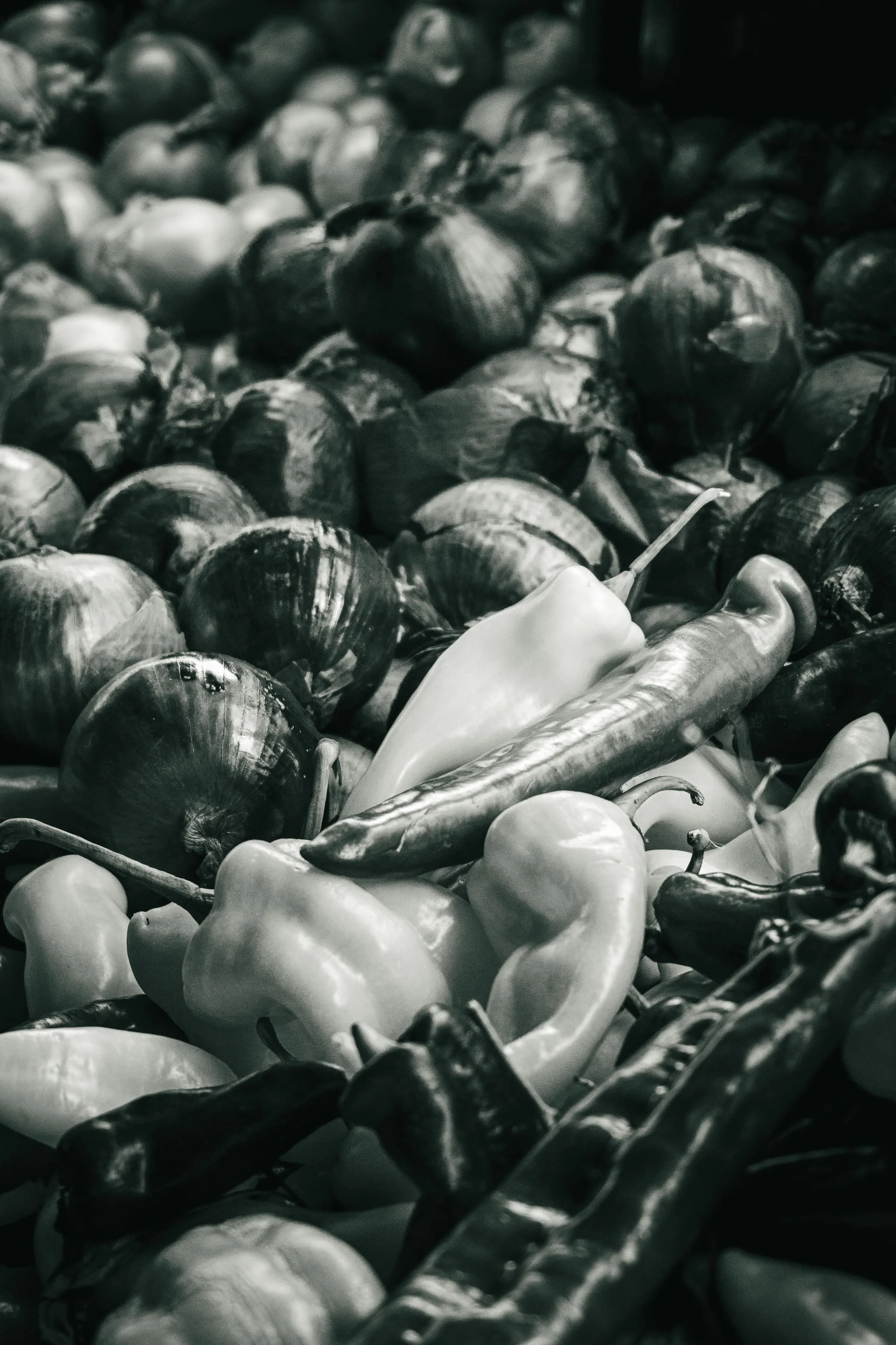 Farmer's Market Textures-12.jpg