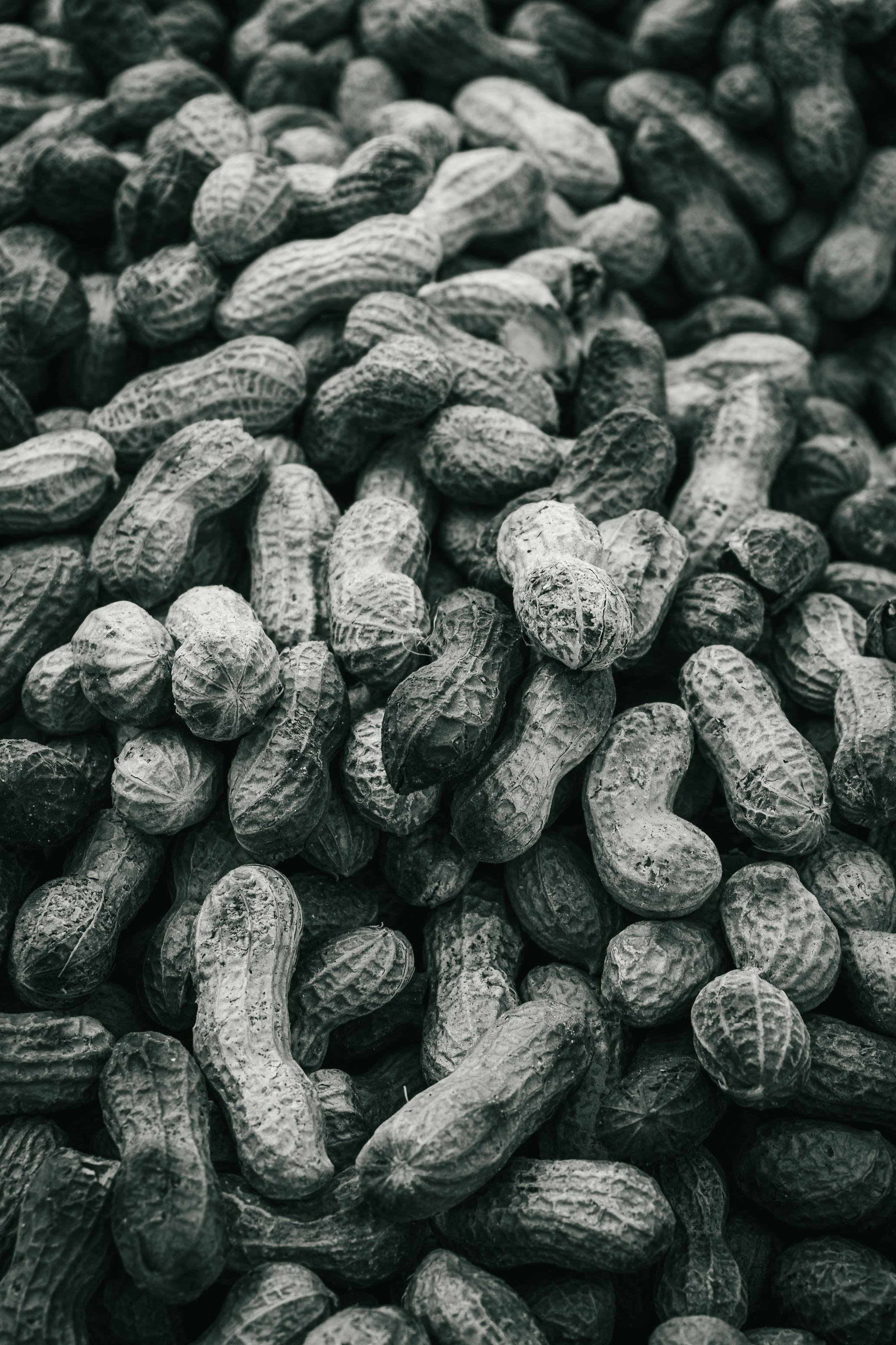 Farmer's Market Textures-38.jpg