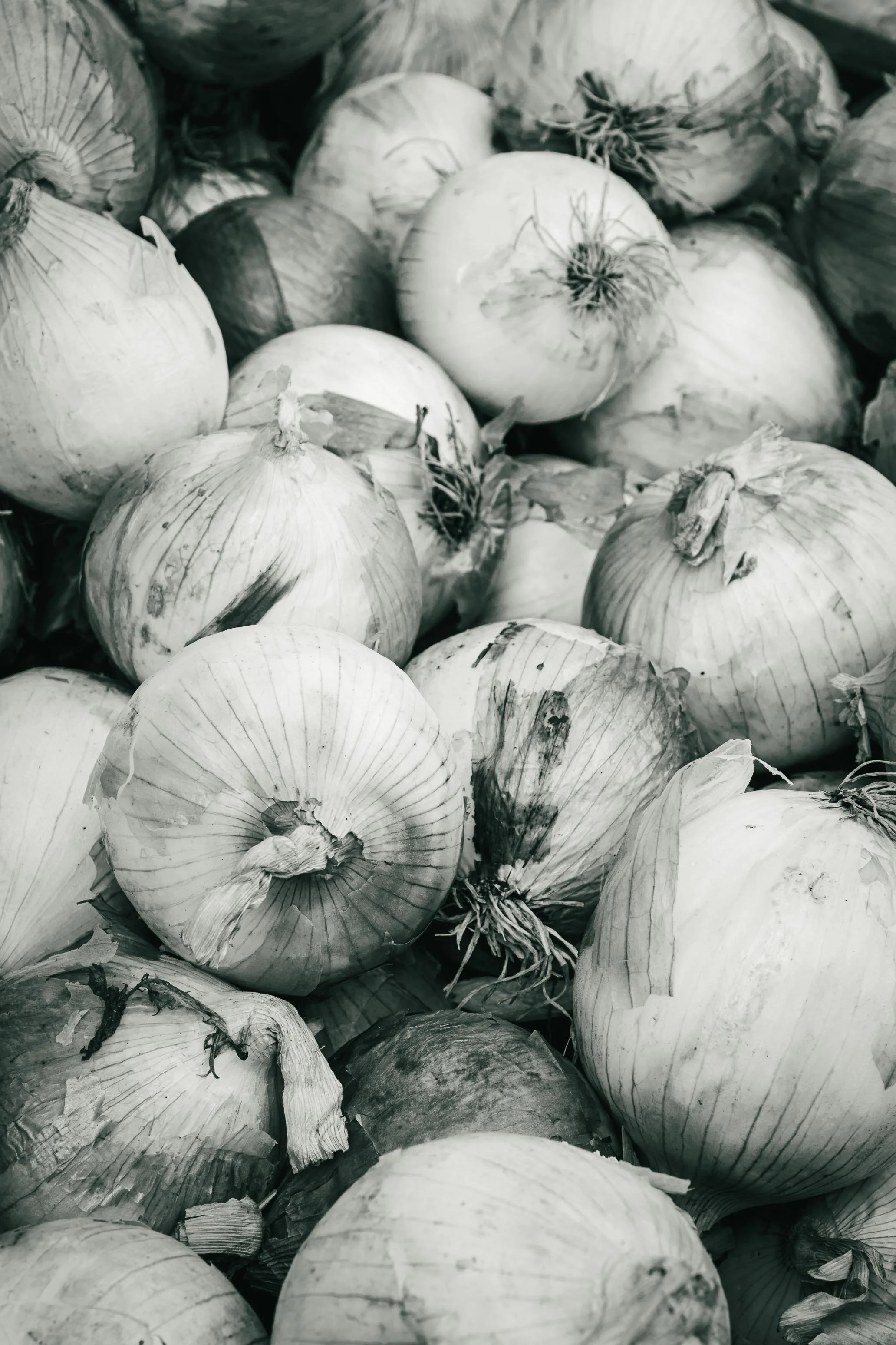 Farmer's Market Textures-47.jpg