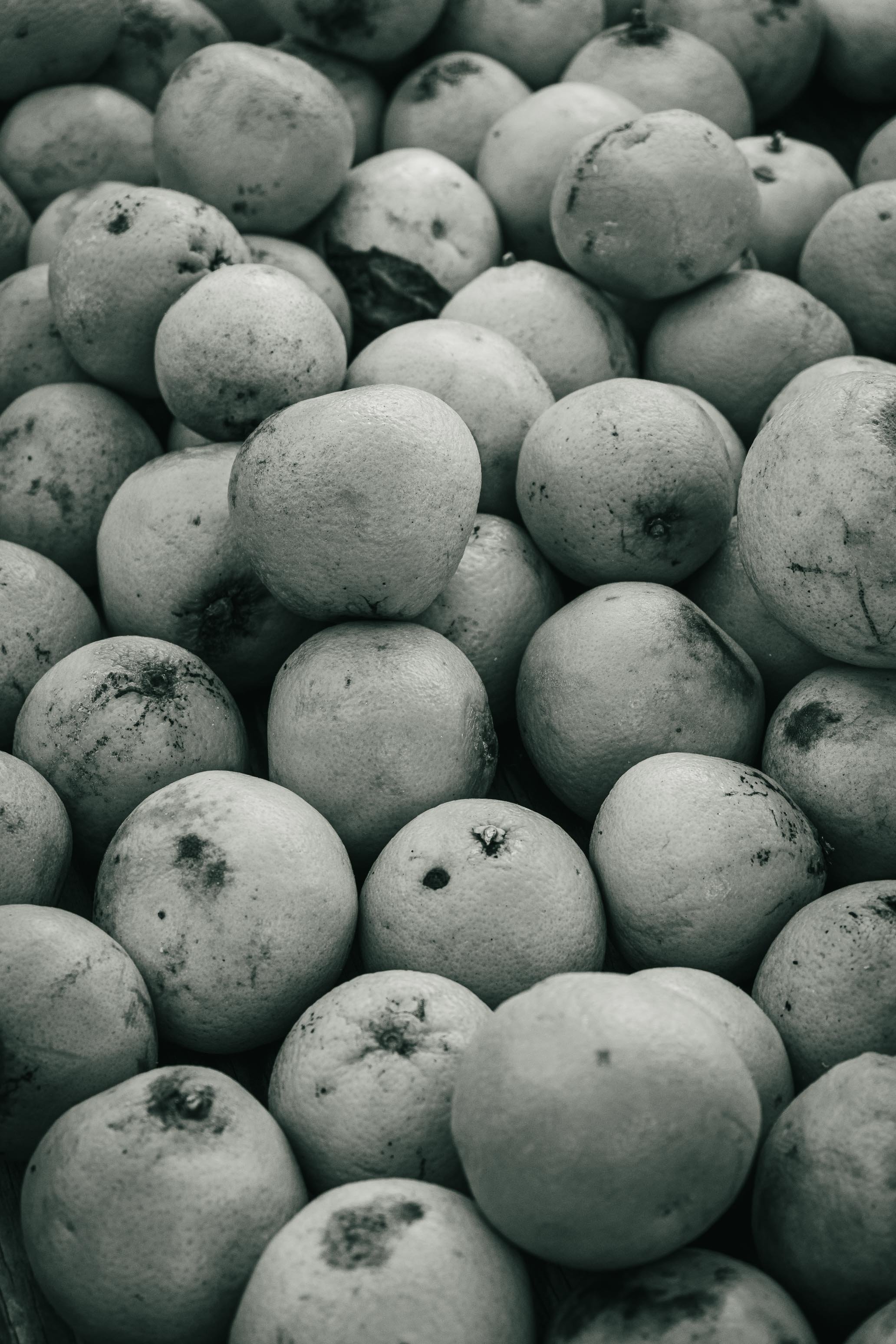 Farmer's Market Textures-15.jpg