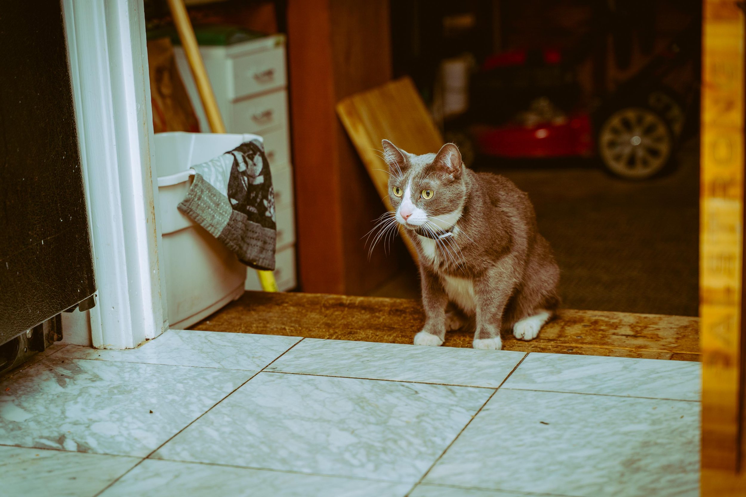 L&L Friendsgiving 2024-8.jpg