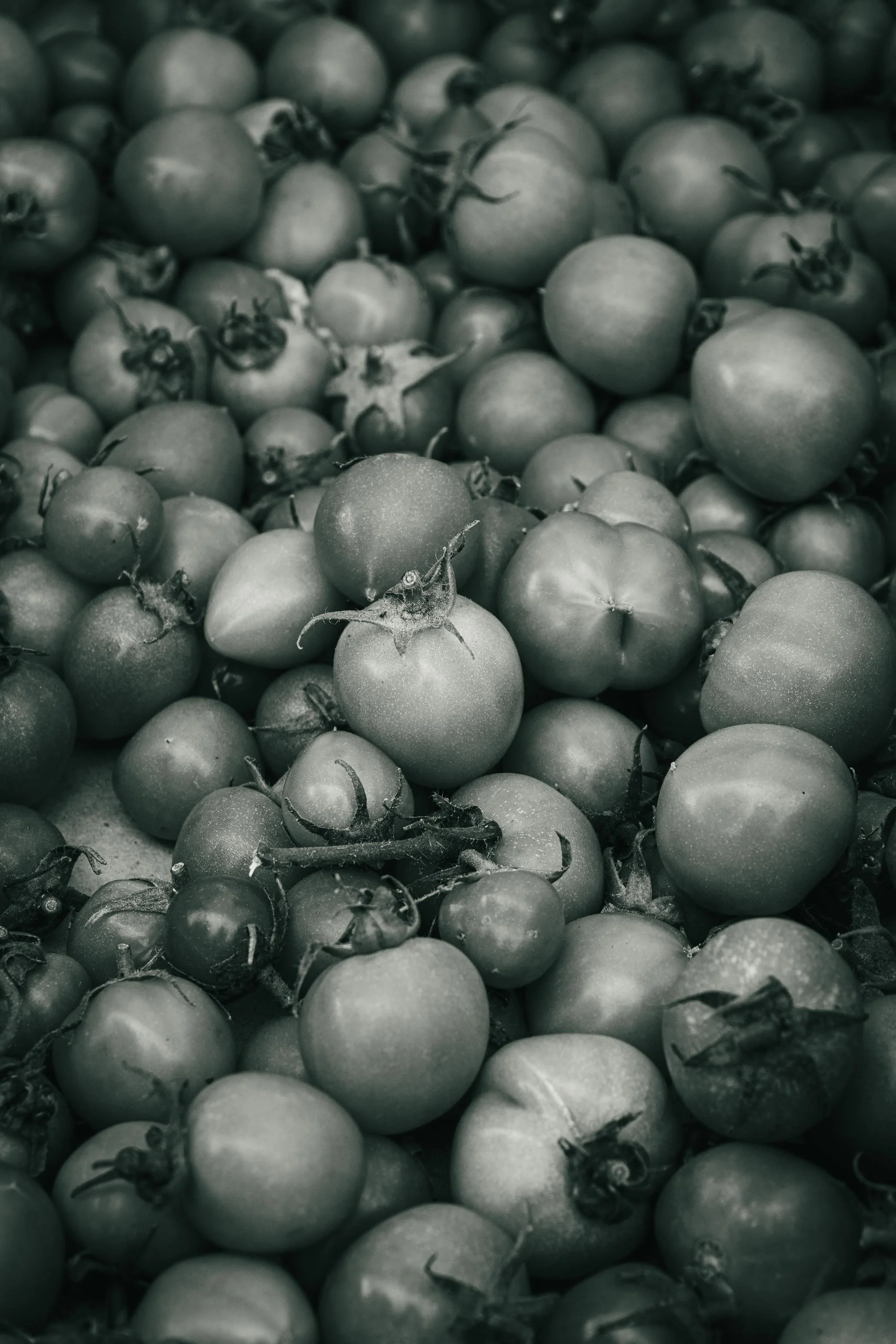 Farmer's Market Textures-58.jpg