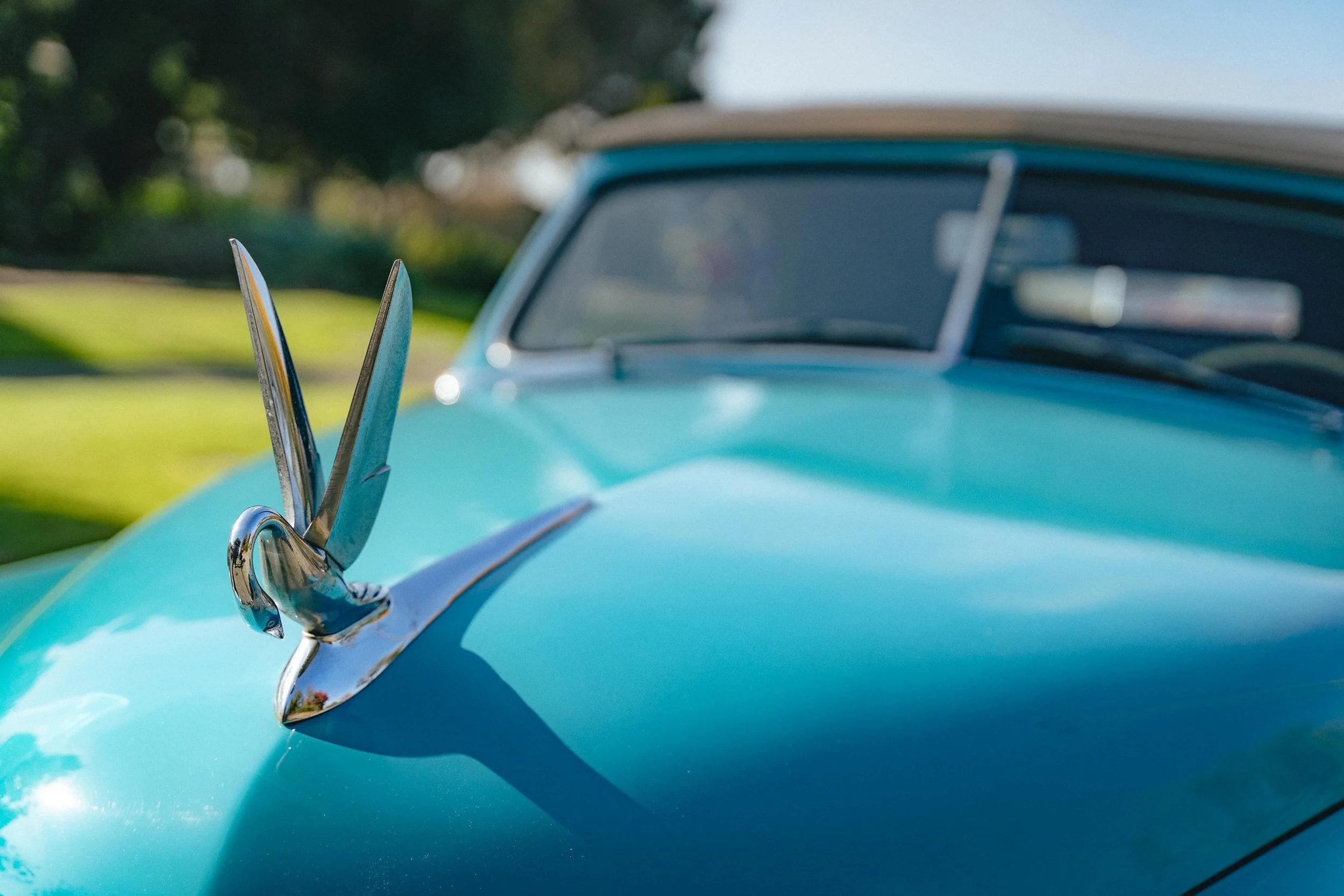 Packard Roughs-19.jpg