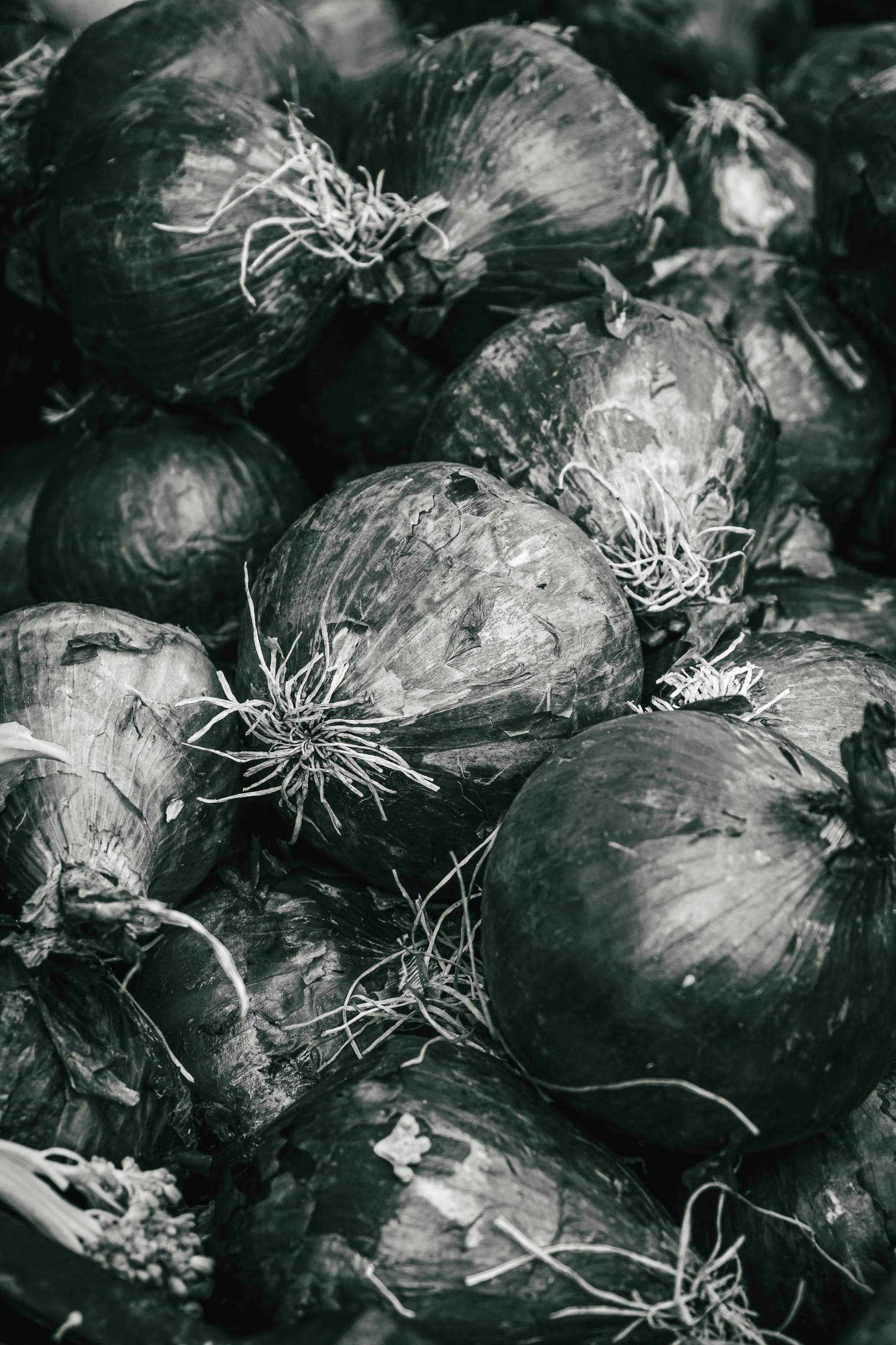 Farmer's Market Textures-46.jpg
