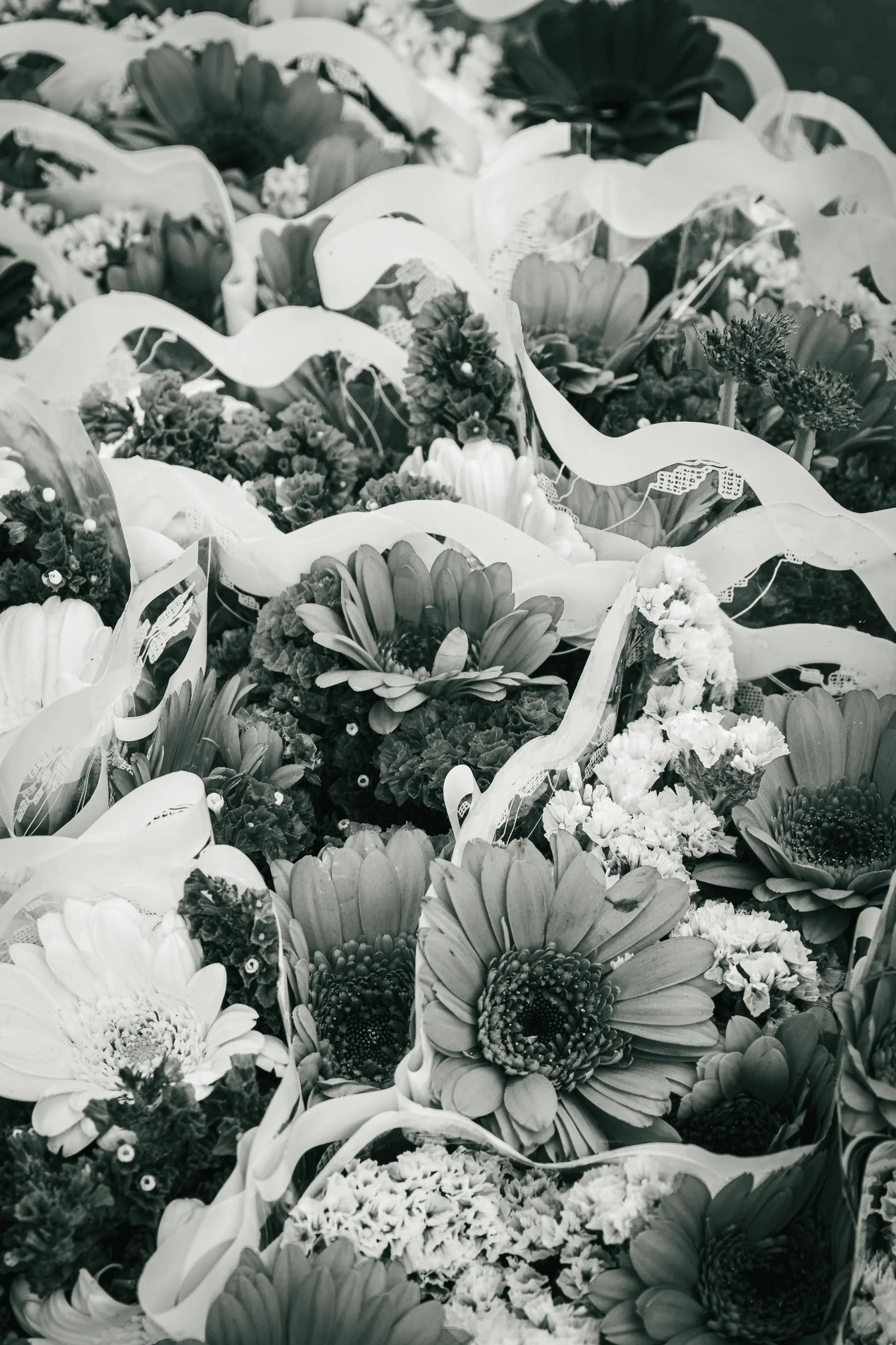 Farmer's Market Textures-49.jpg