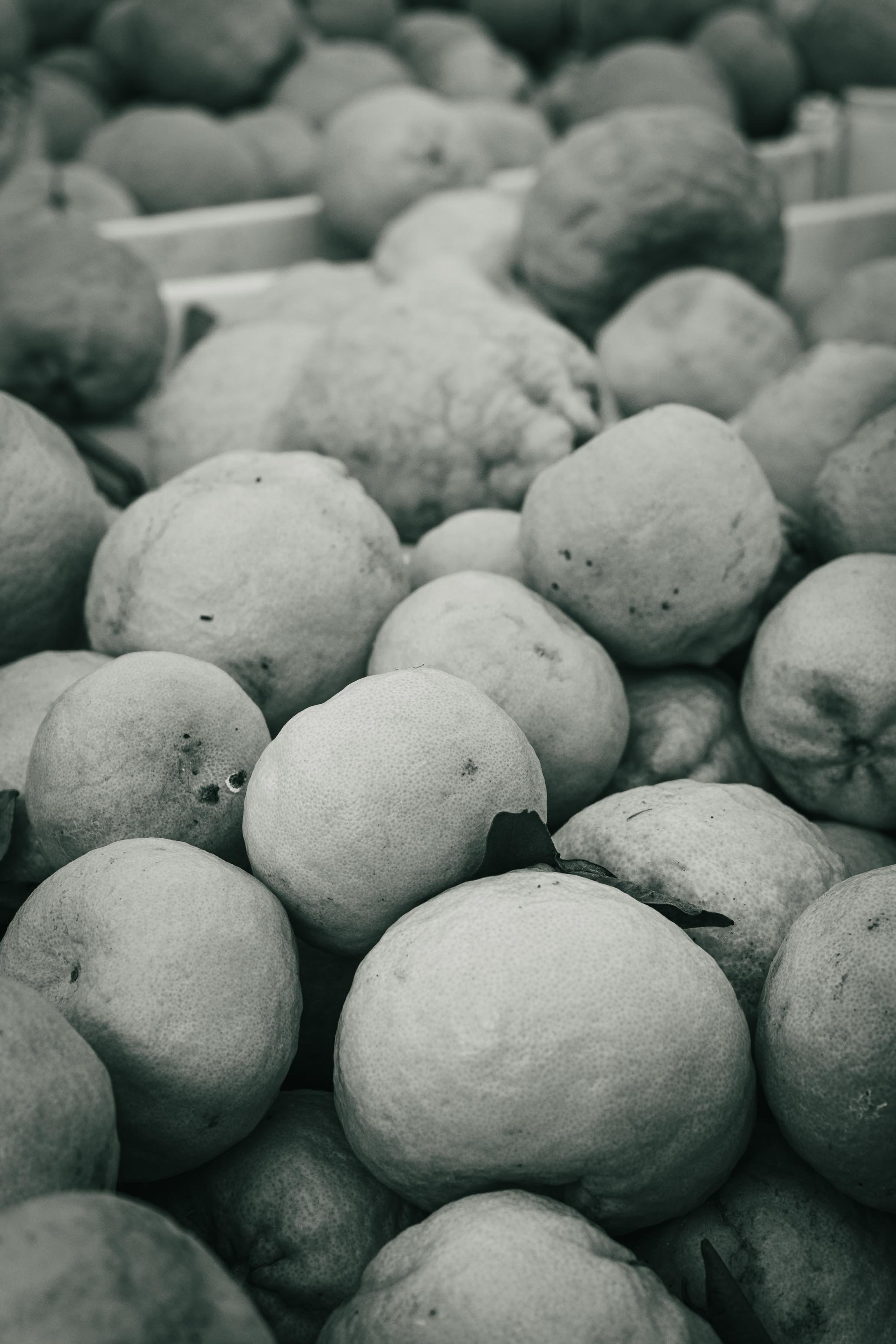 Farmer's Market Textures-16.jpg