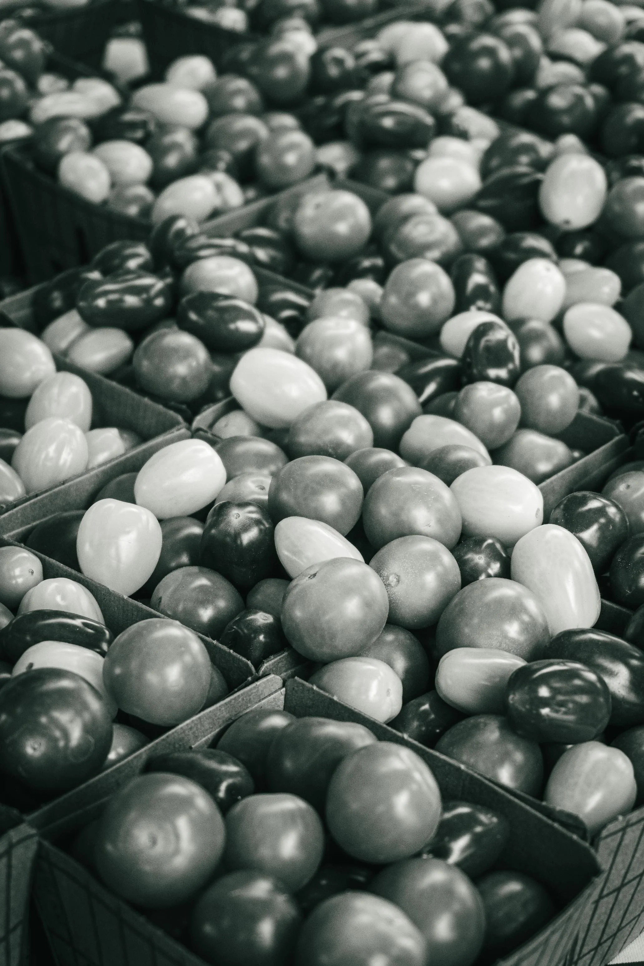 Farmer's Market Textures-8.jpg