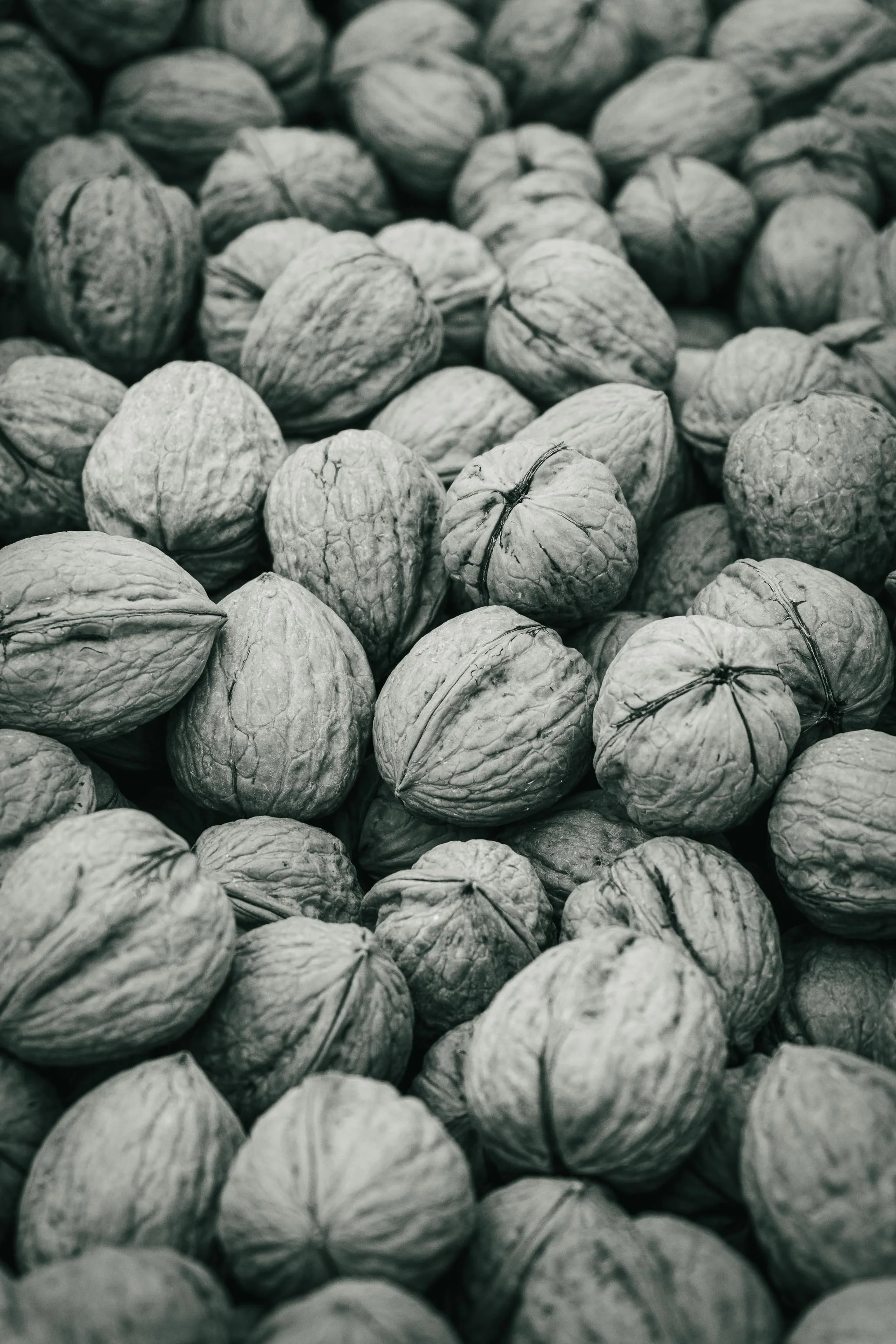 Farmer's Market Textures-20.jpg