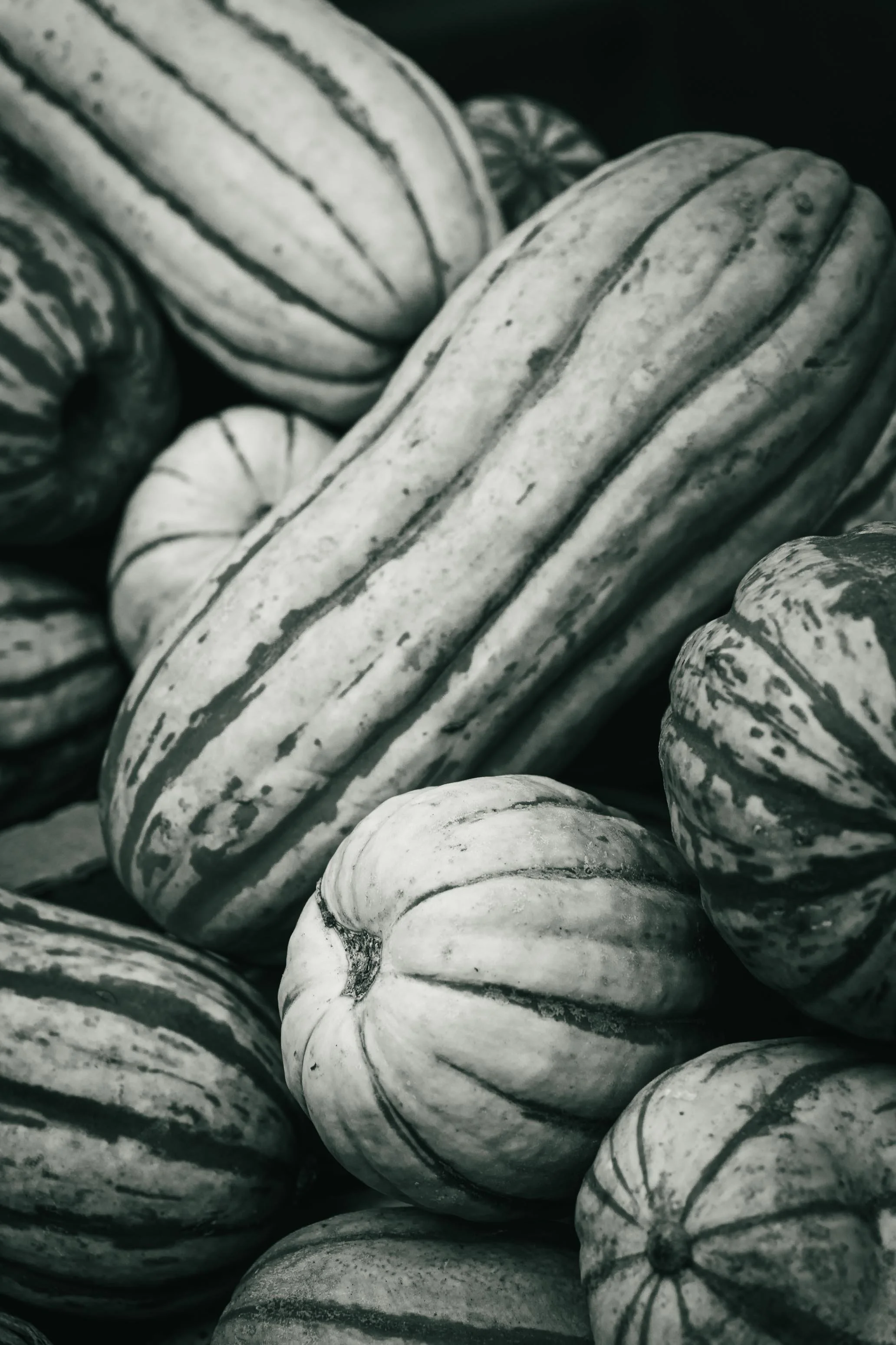 Farmer's Market Textures-50.jpg