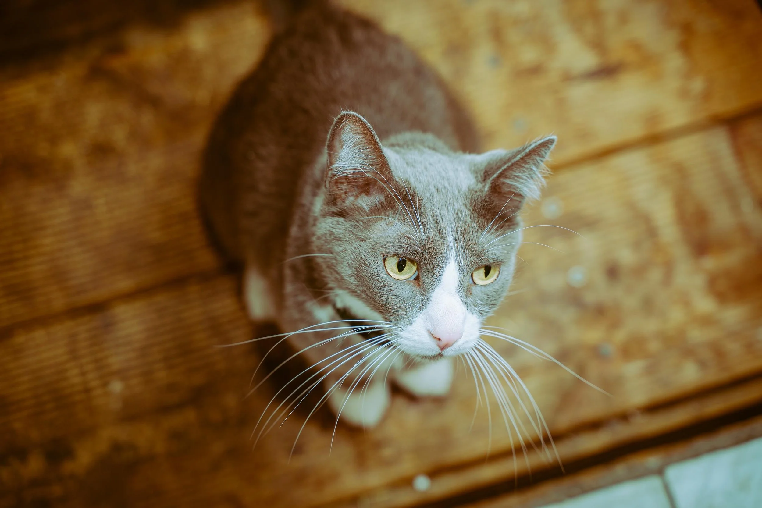 L&L Friendsgiving 2024-10.jpg