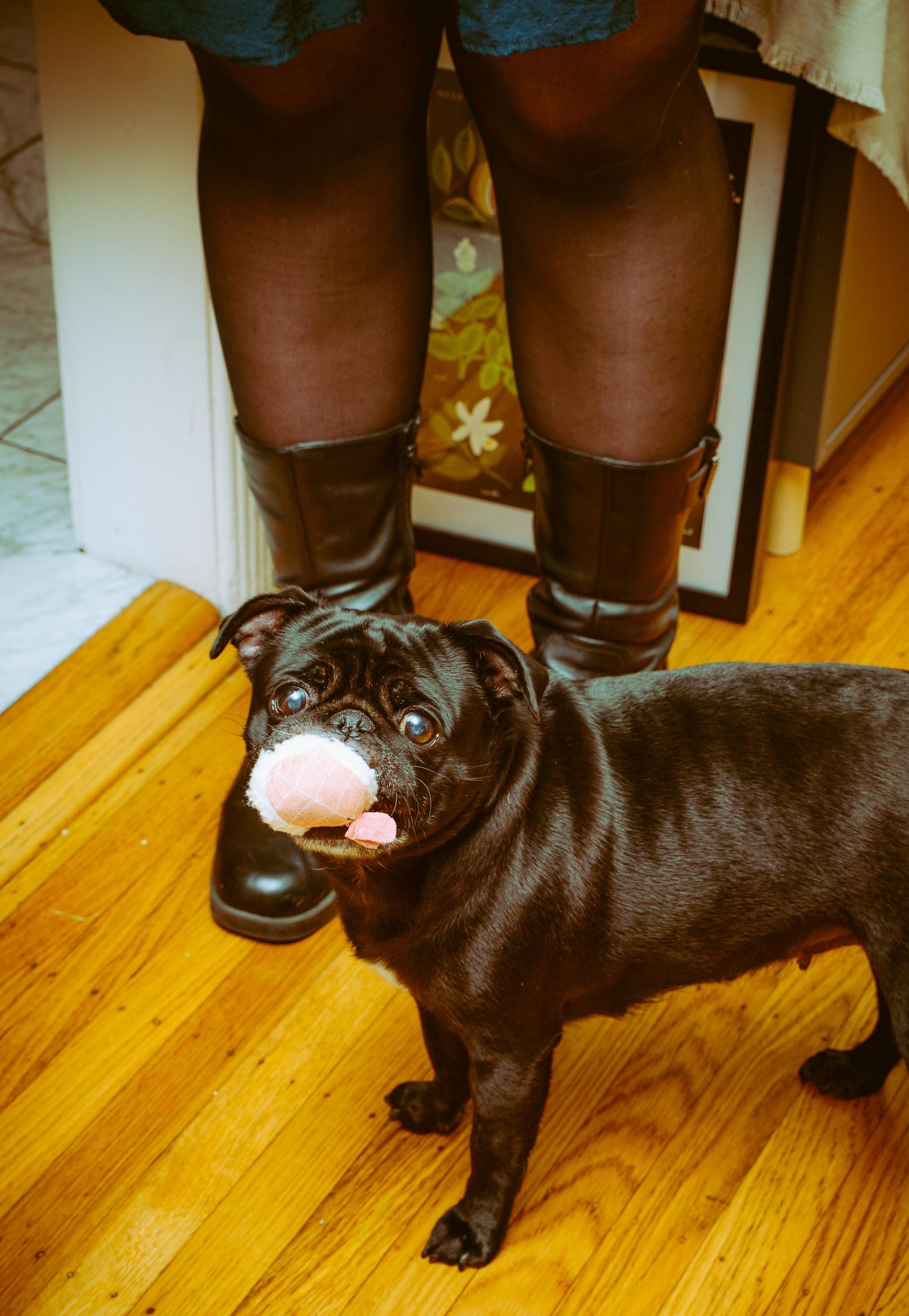 L&L Friendsgiving 2024-29.jpg