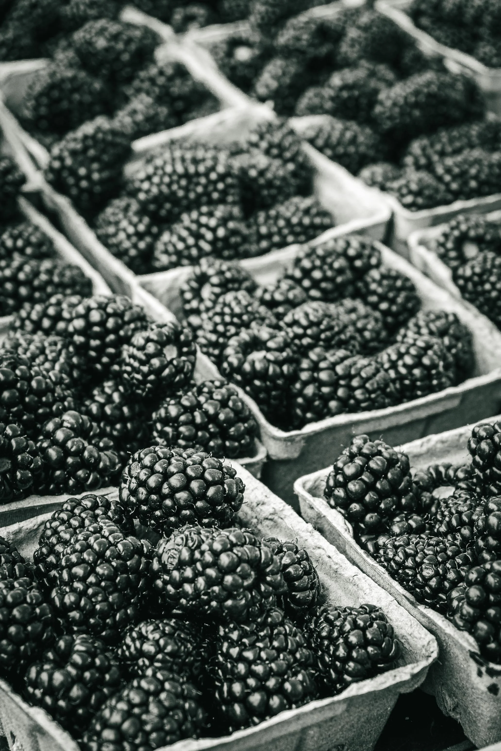 Farmer's Market Textures-44.jpg