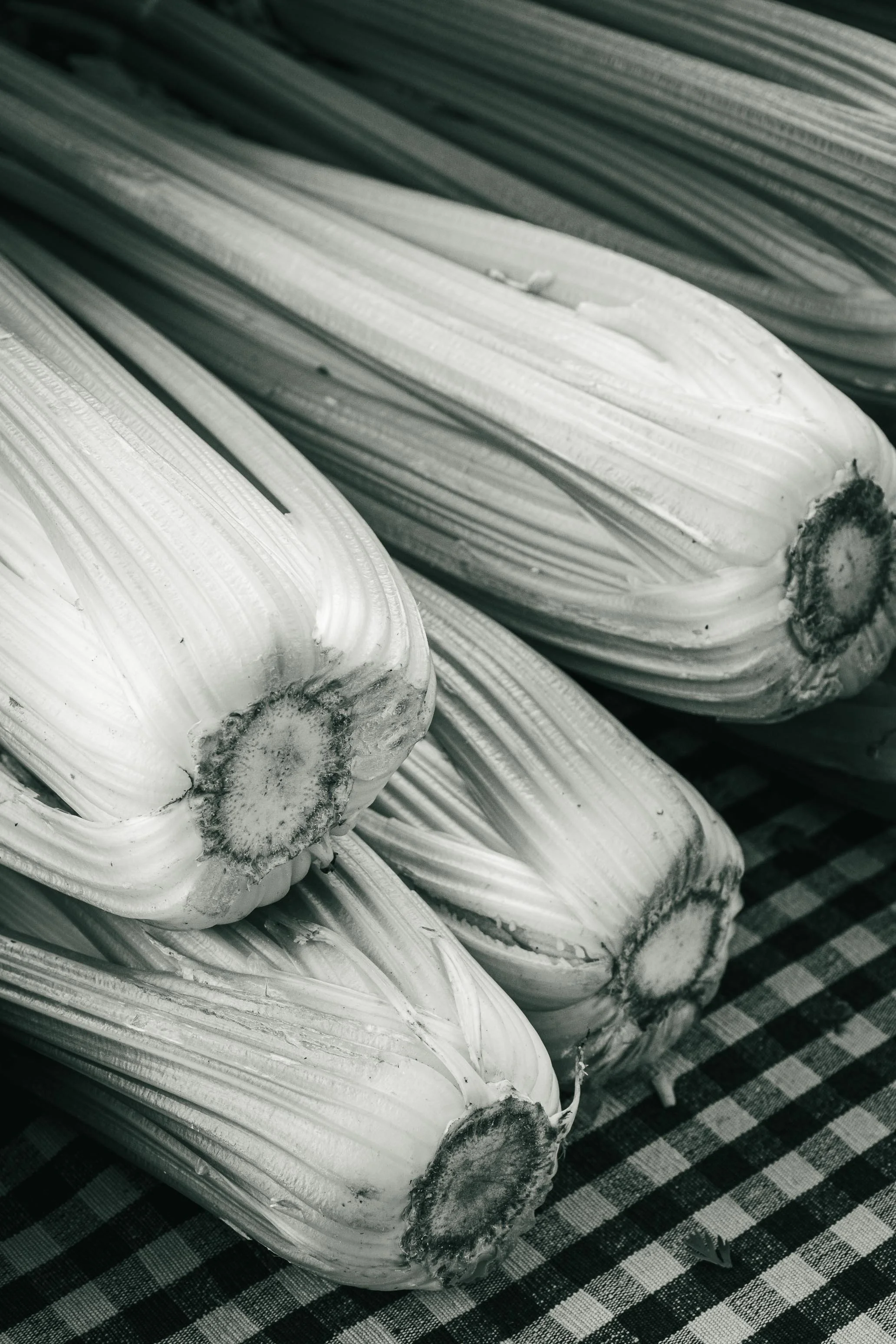 Farmer's Market Textures-61.jpg