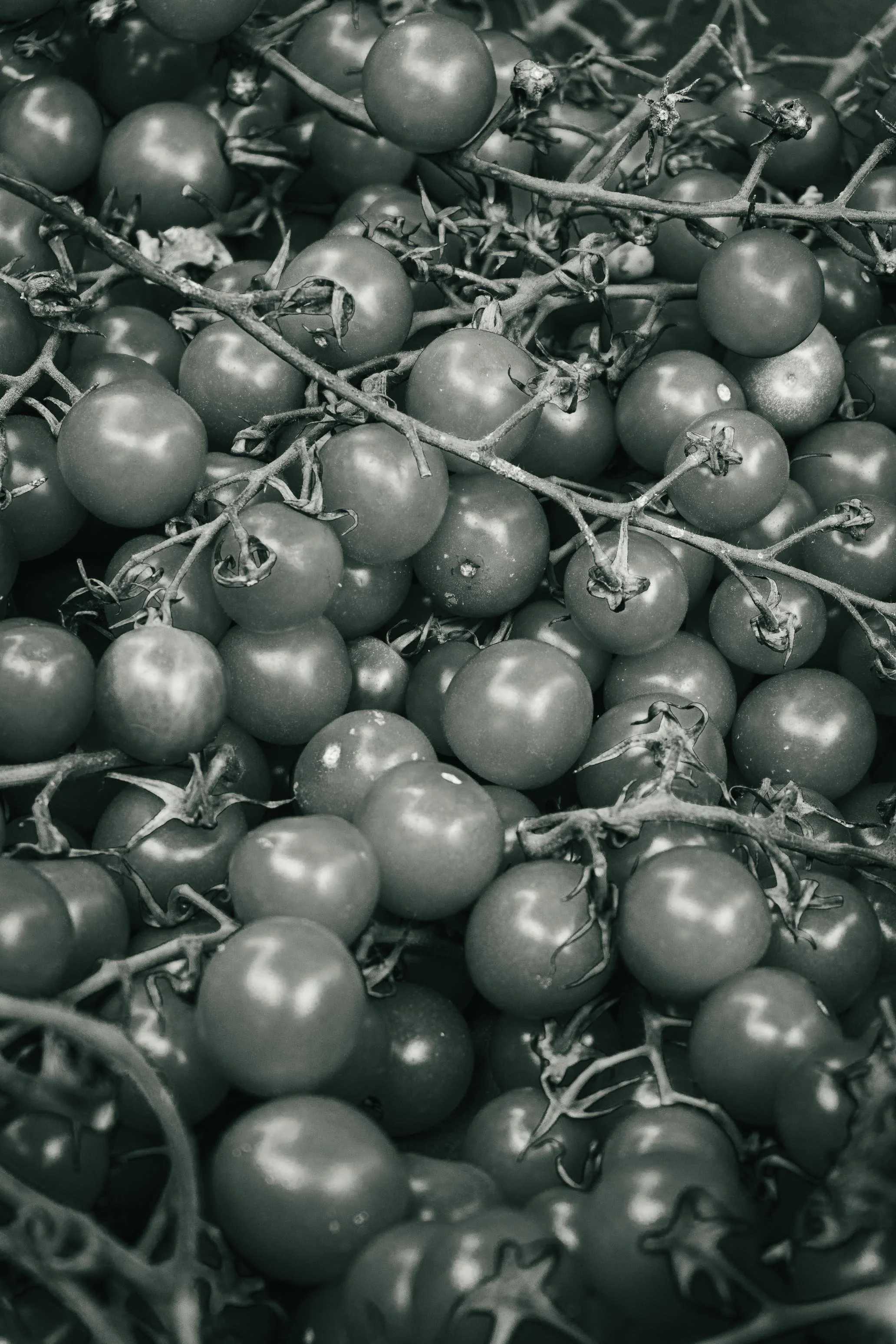 Farmer's Market Textures-7.jpg