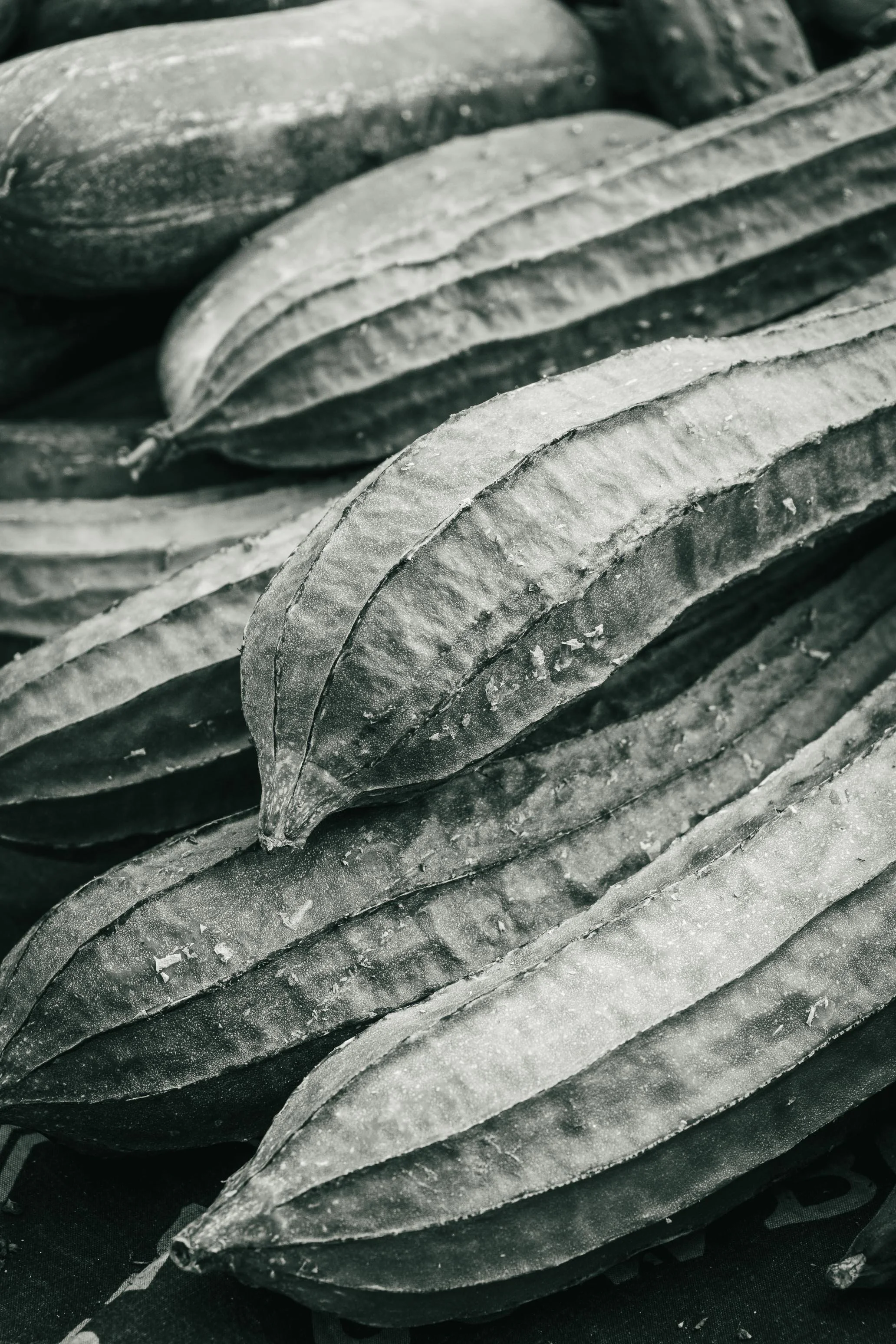Farmer's Market Textures-40.jpg