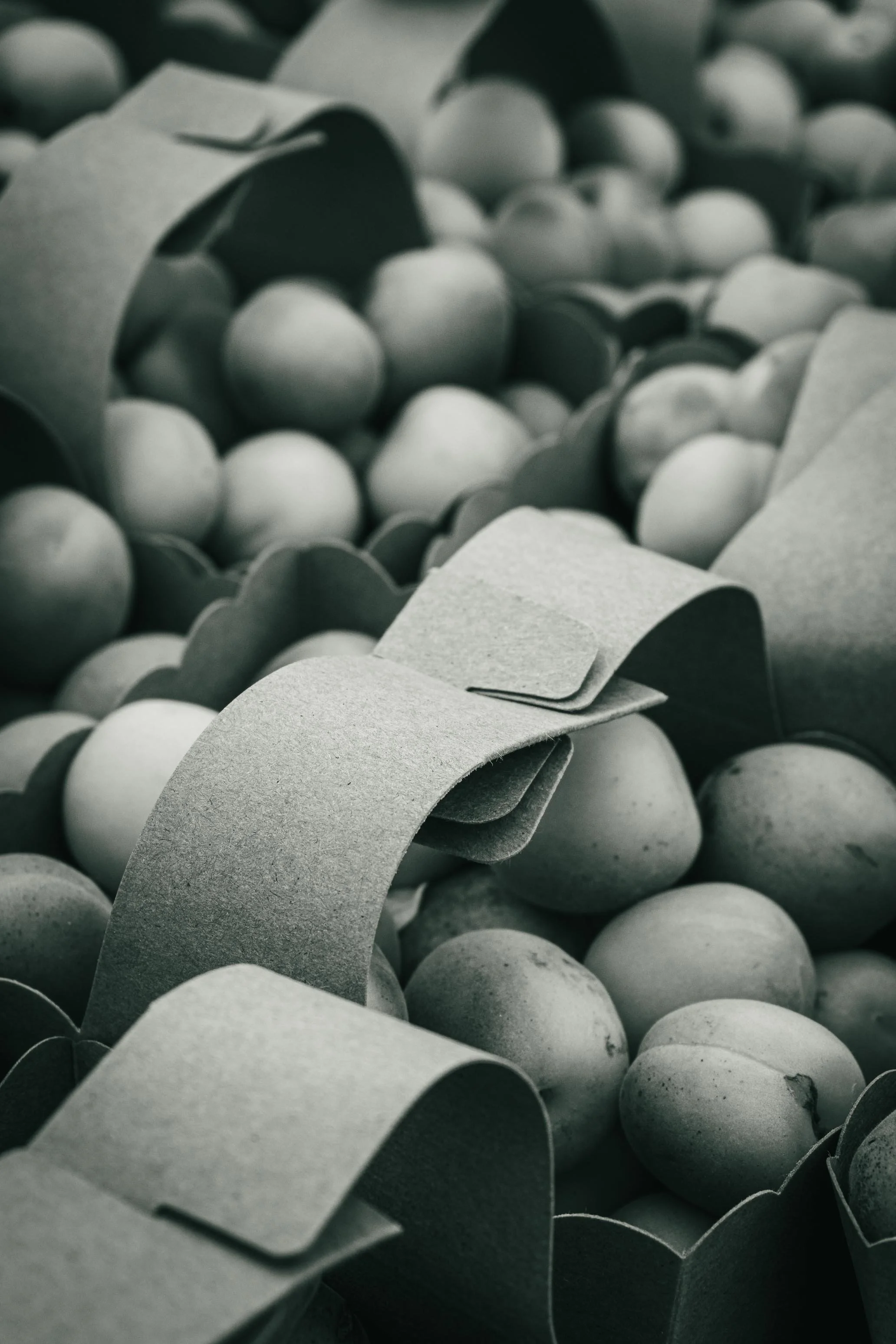 Farmer's Market Textures-21.jpg