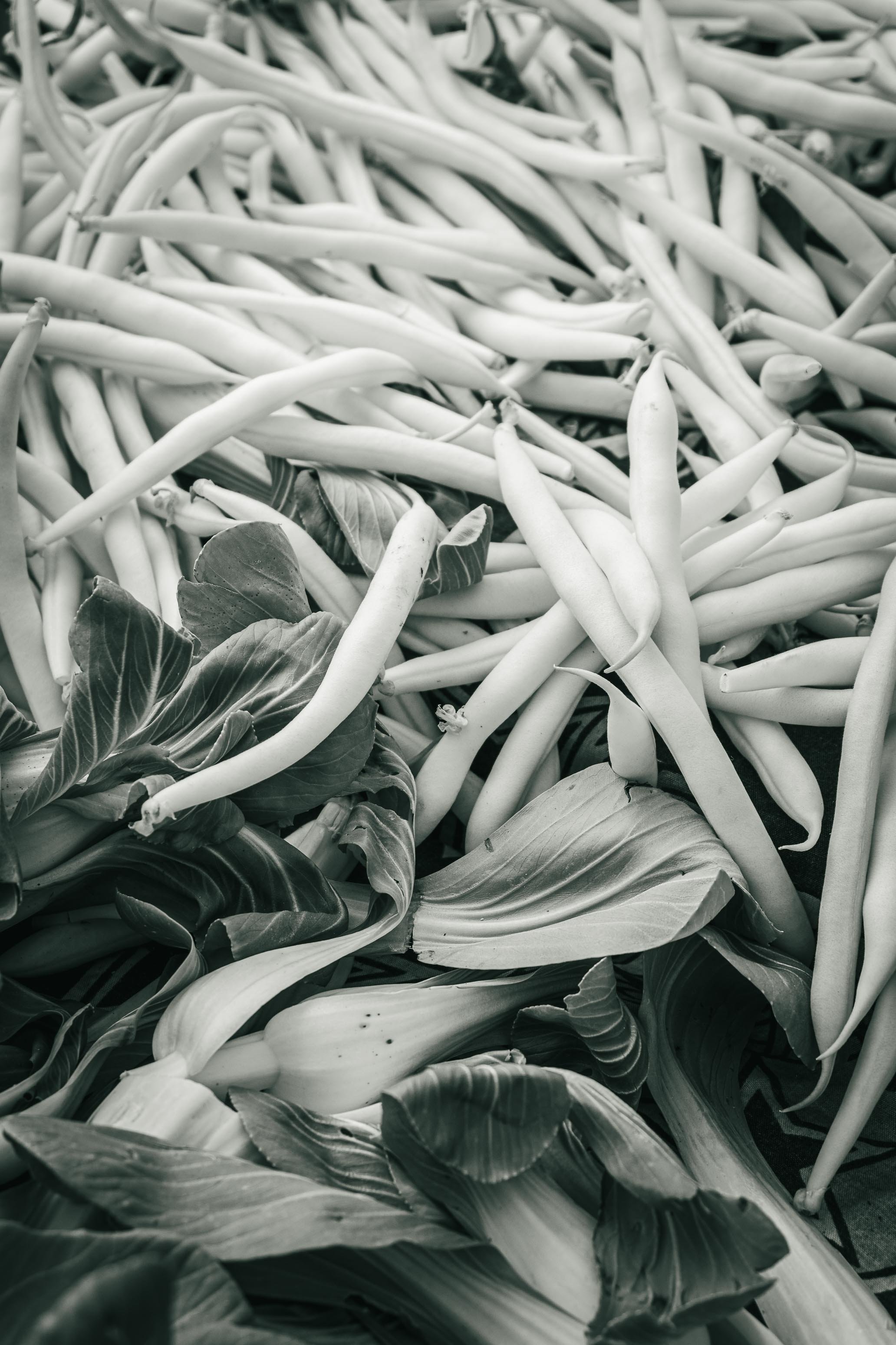 Farmer's Market Textures-42.jpg
