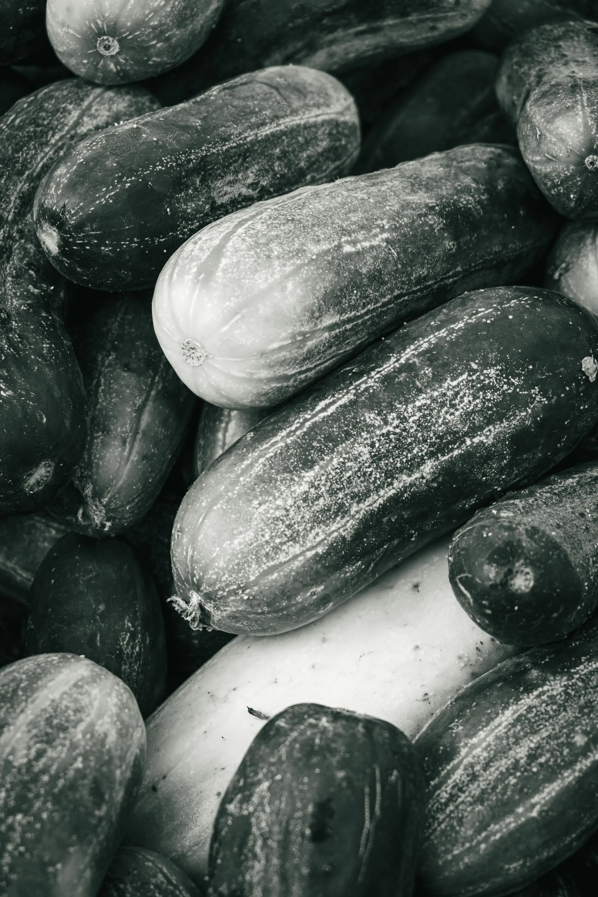Farmer's Market Textures-3.jpg