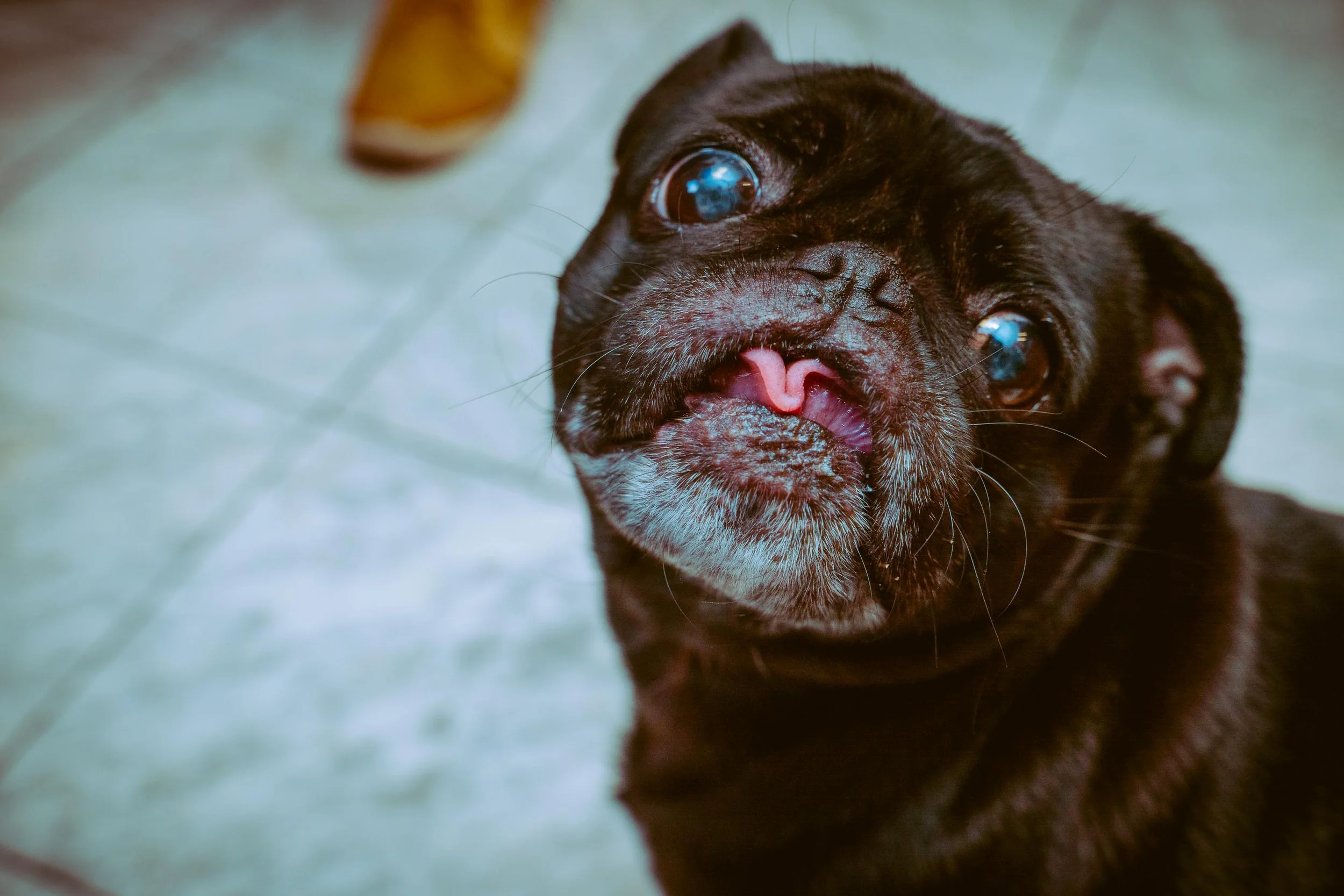 L&L Friendsgiving 2024-81.jpg