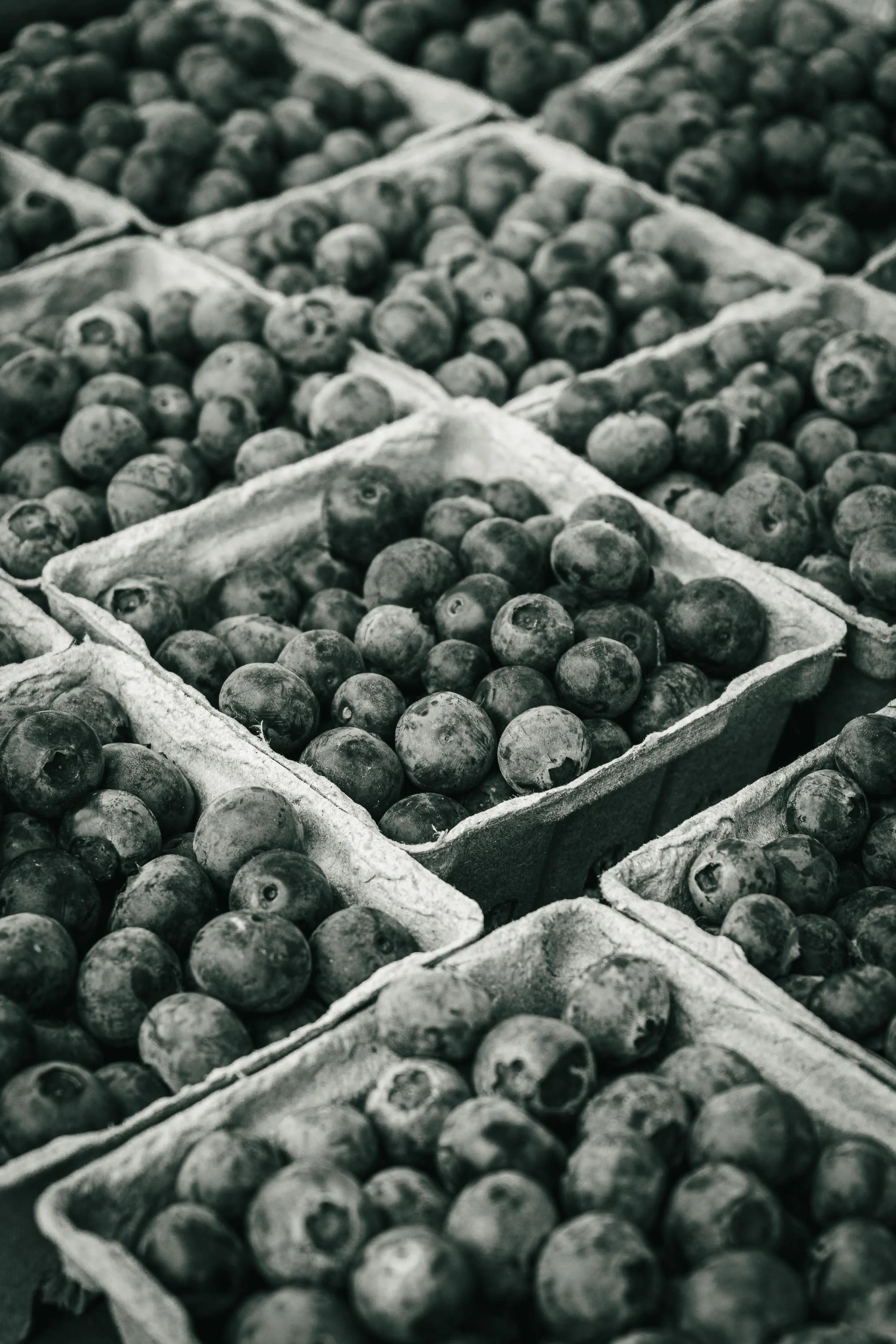Farmer's Market Textures-43.jpg
