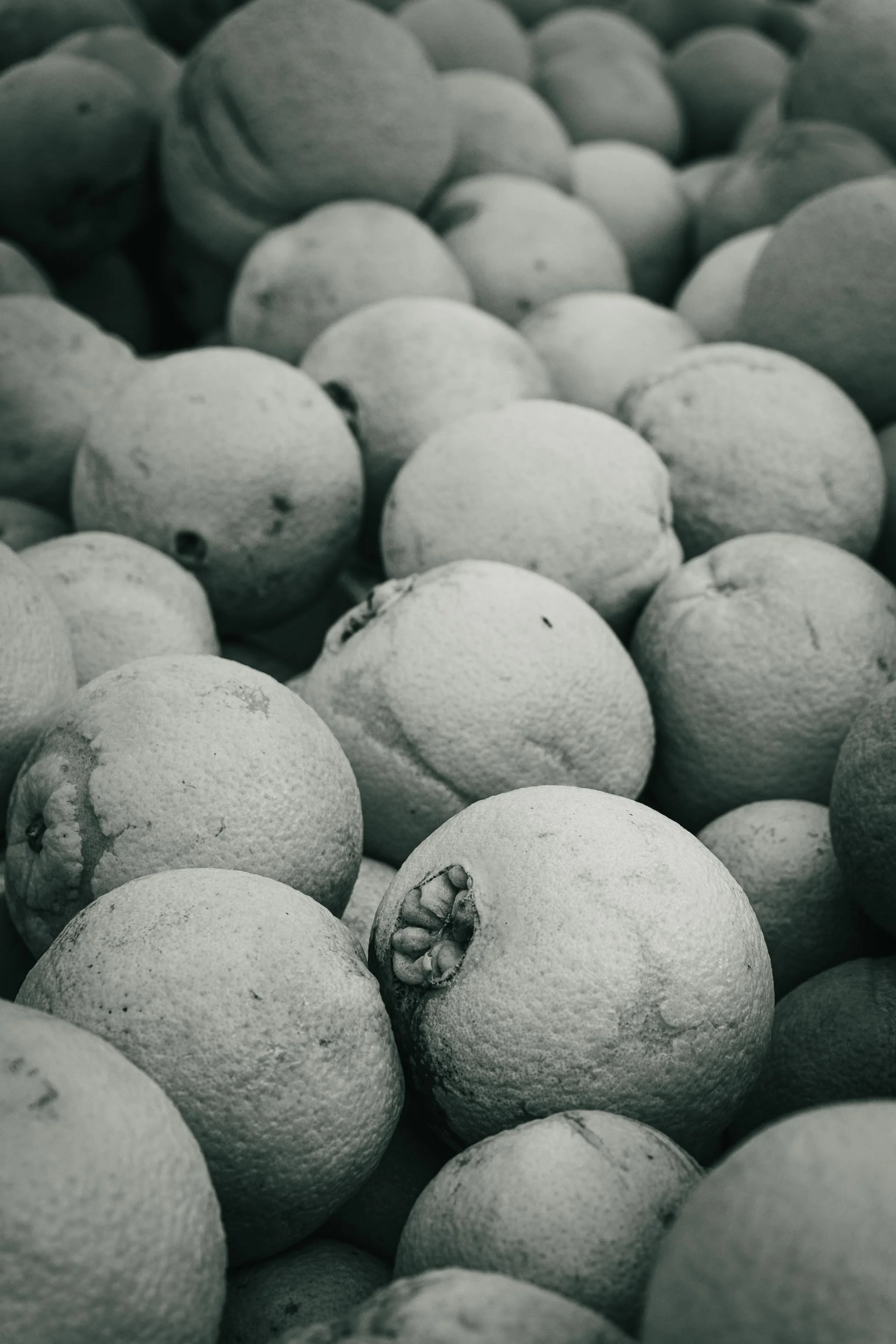 Farmer's Market Textures-14.jpg