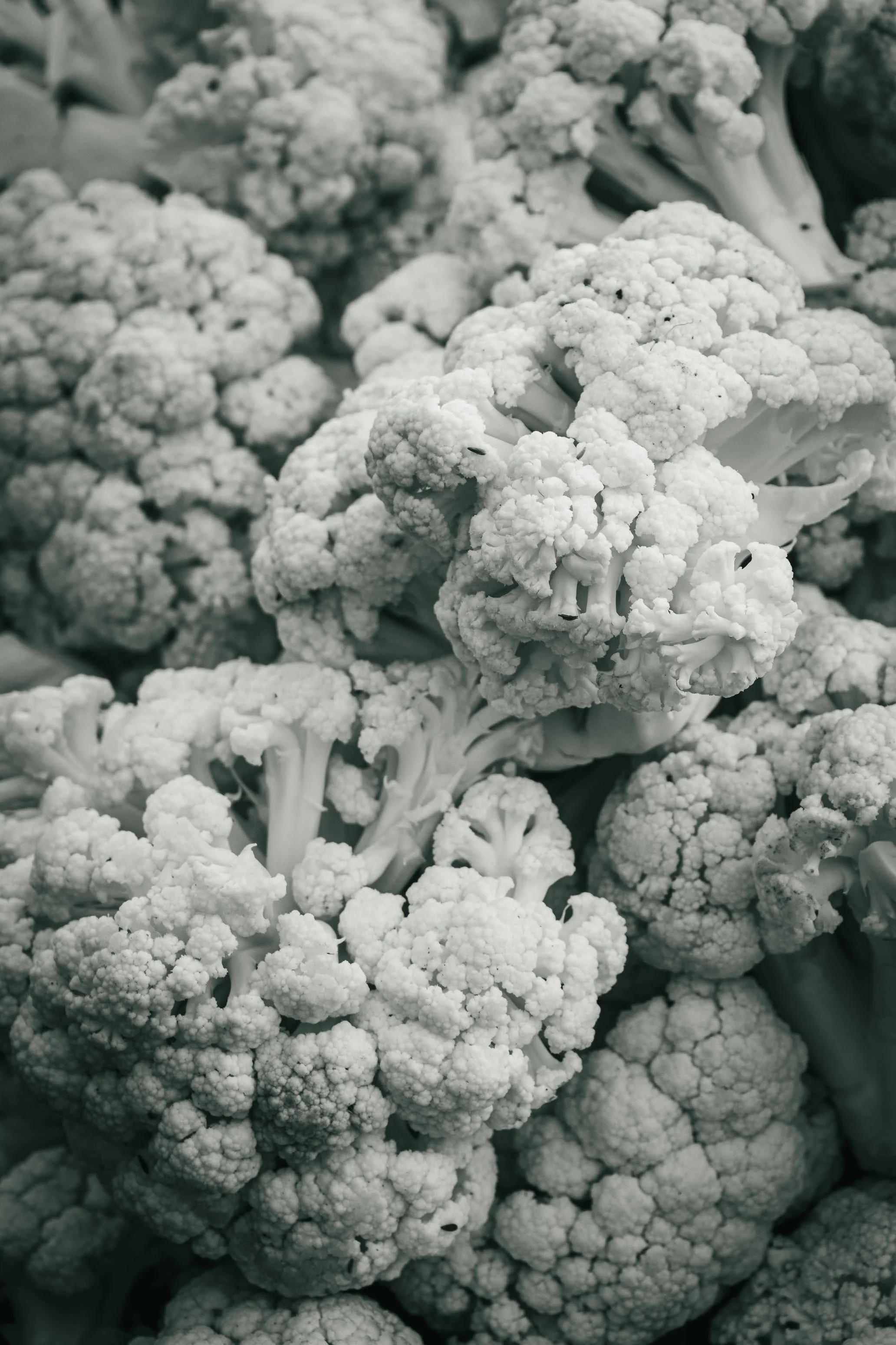Farmer's Market Textures-56.jpg