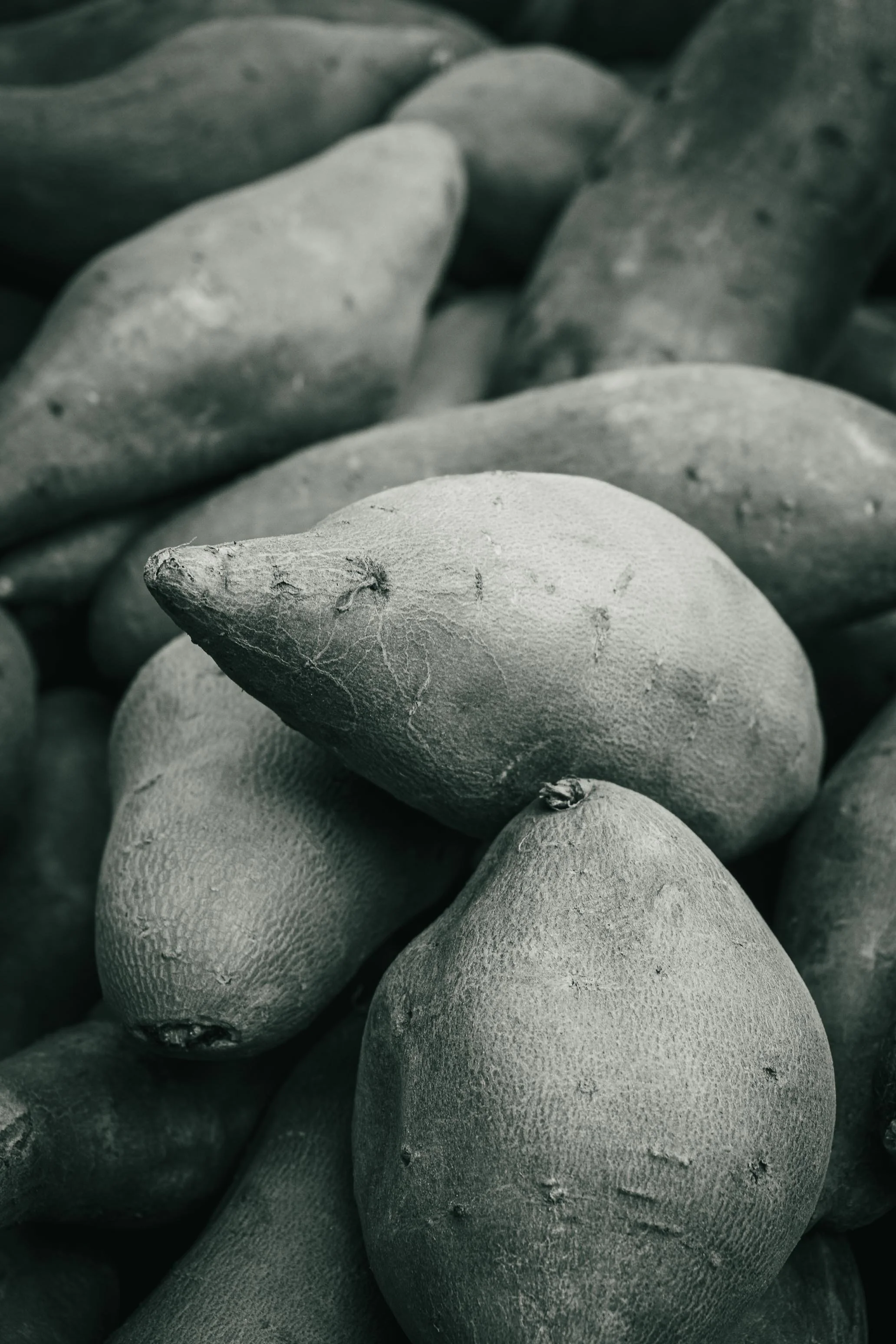 Farmer's Market Textures-35.jpg