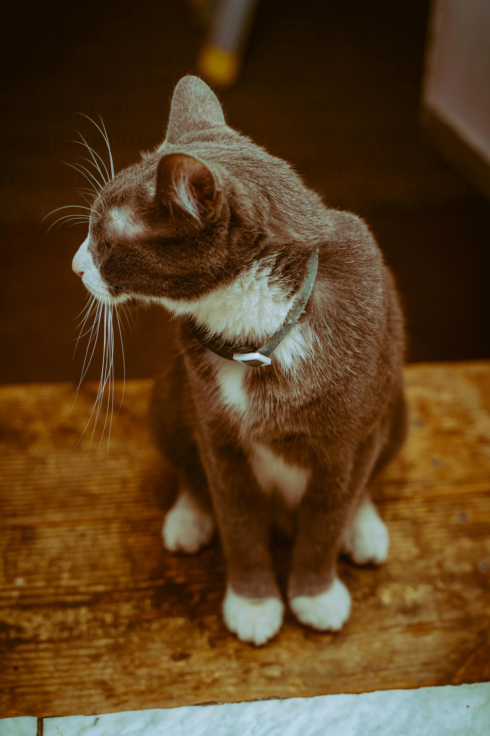 L&L Friendsgiving 2024-13.jpg