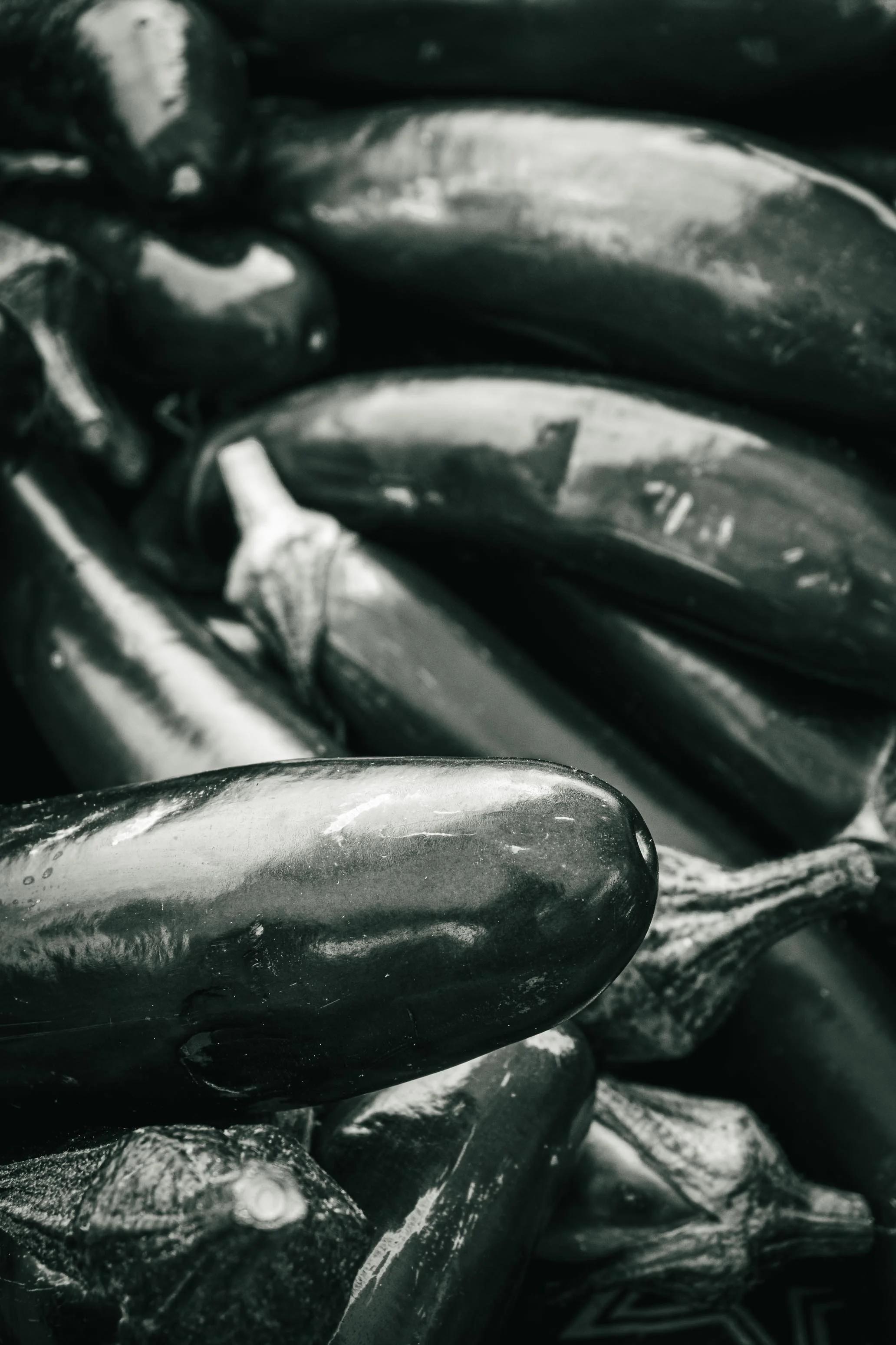 Farmer's Market Textures-41.jpg