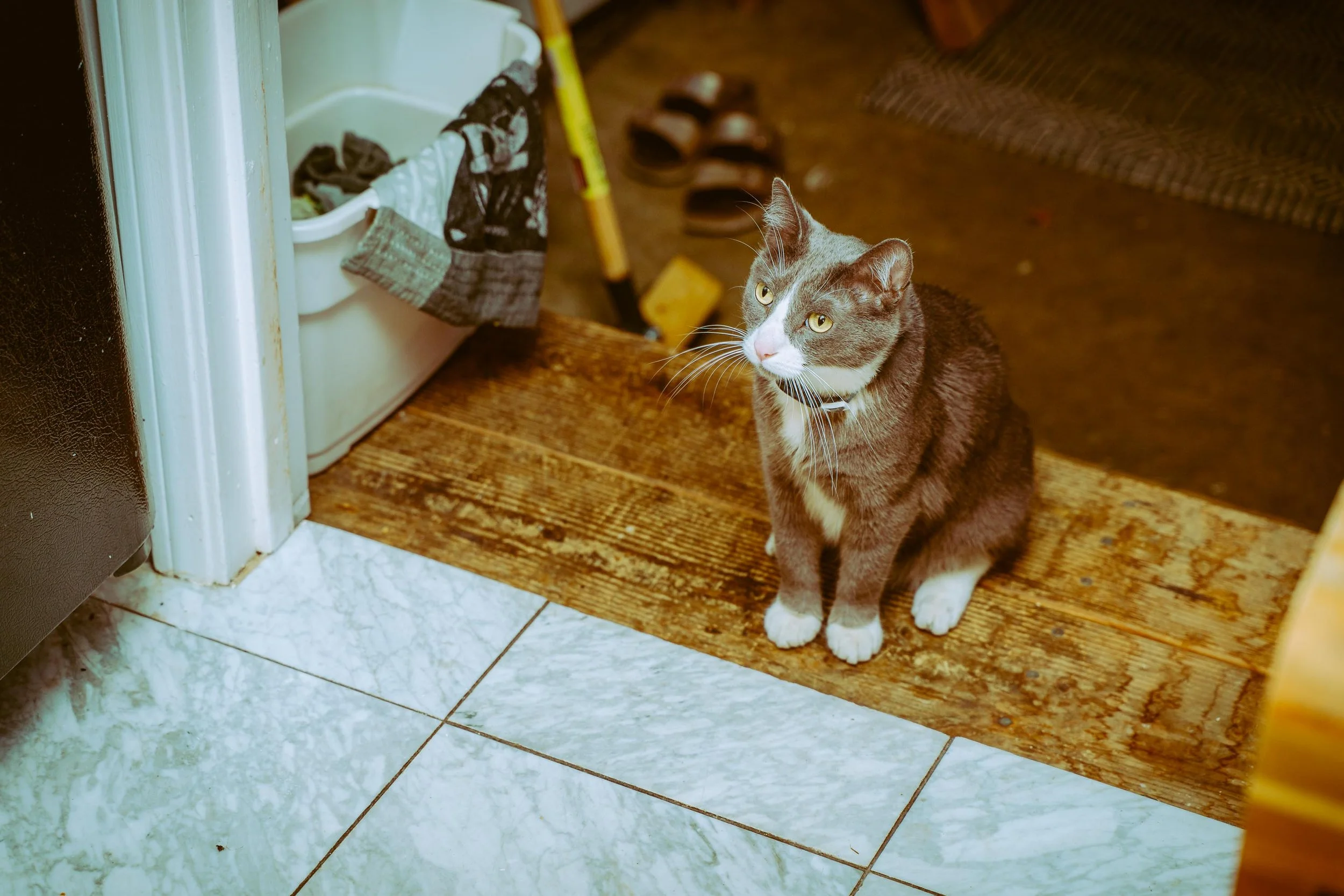 L&L Friendsgiving 2024-9.jpg