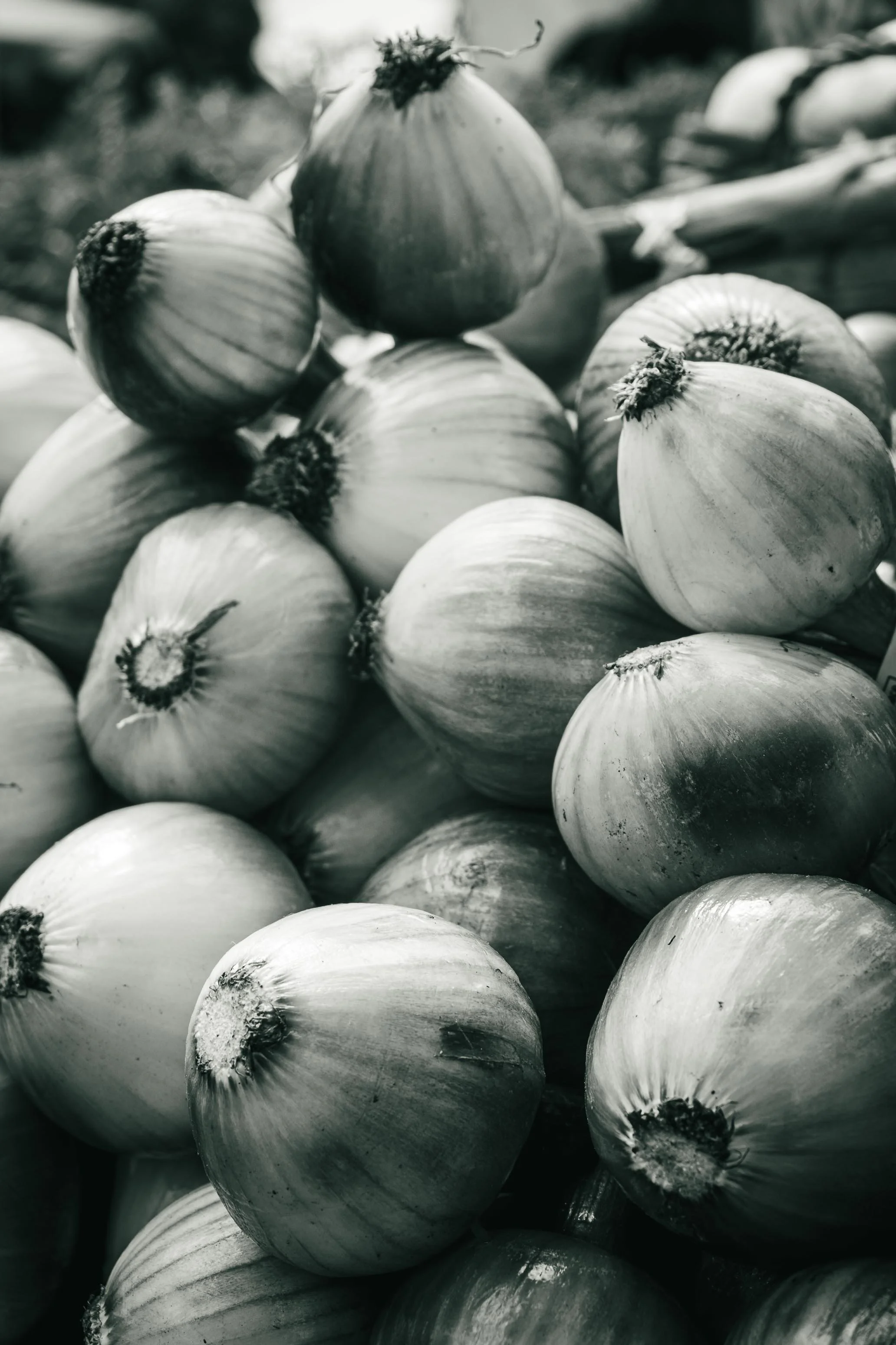 Farmer's Market Textures-32.jpg