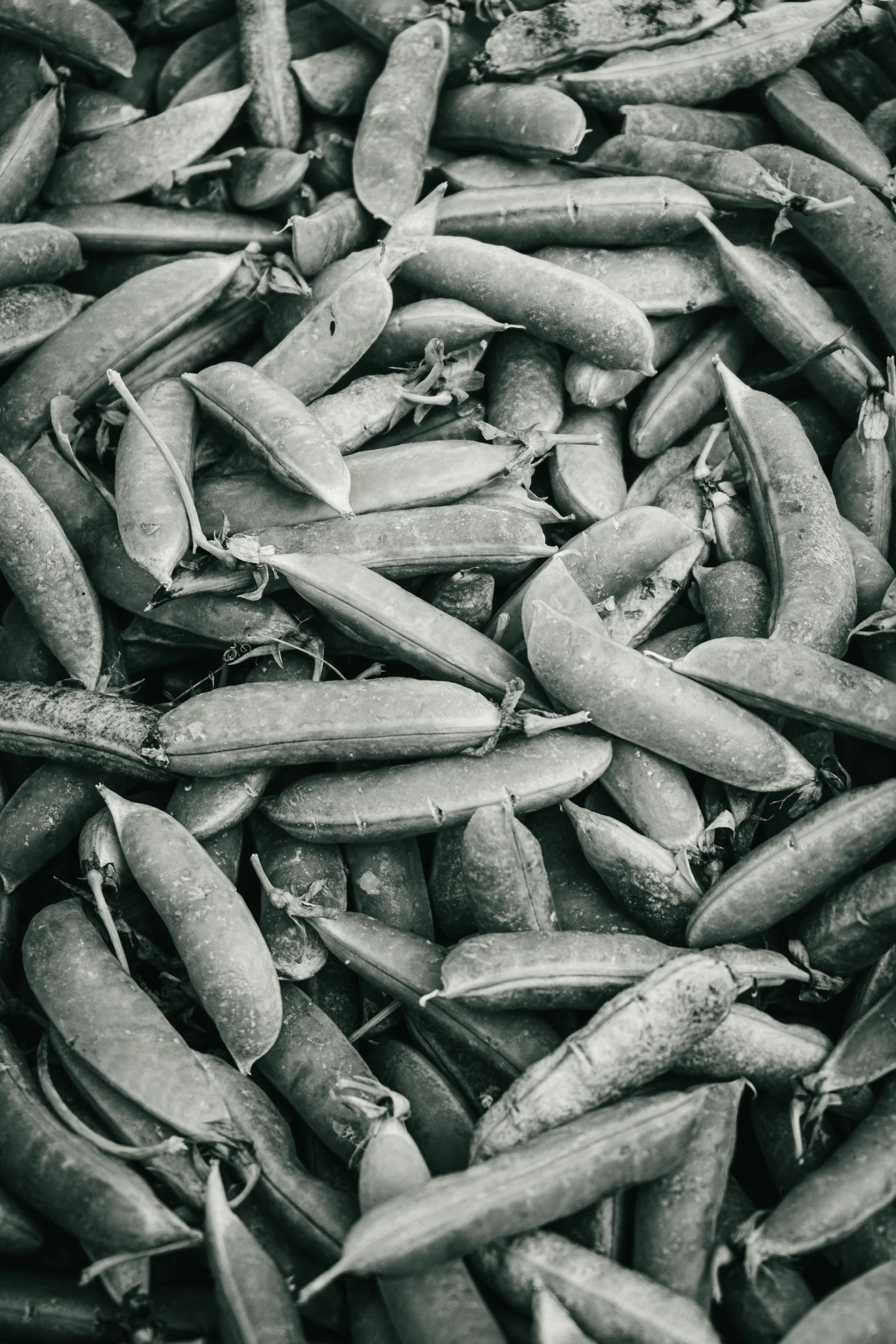 Farmer's Market Textures-4.jpg