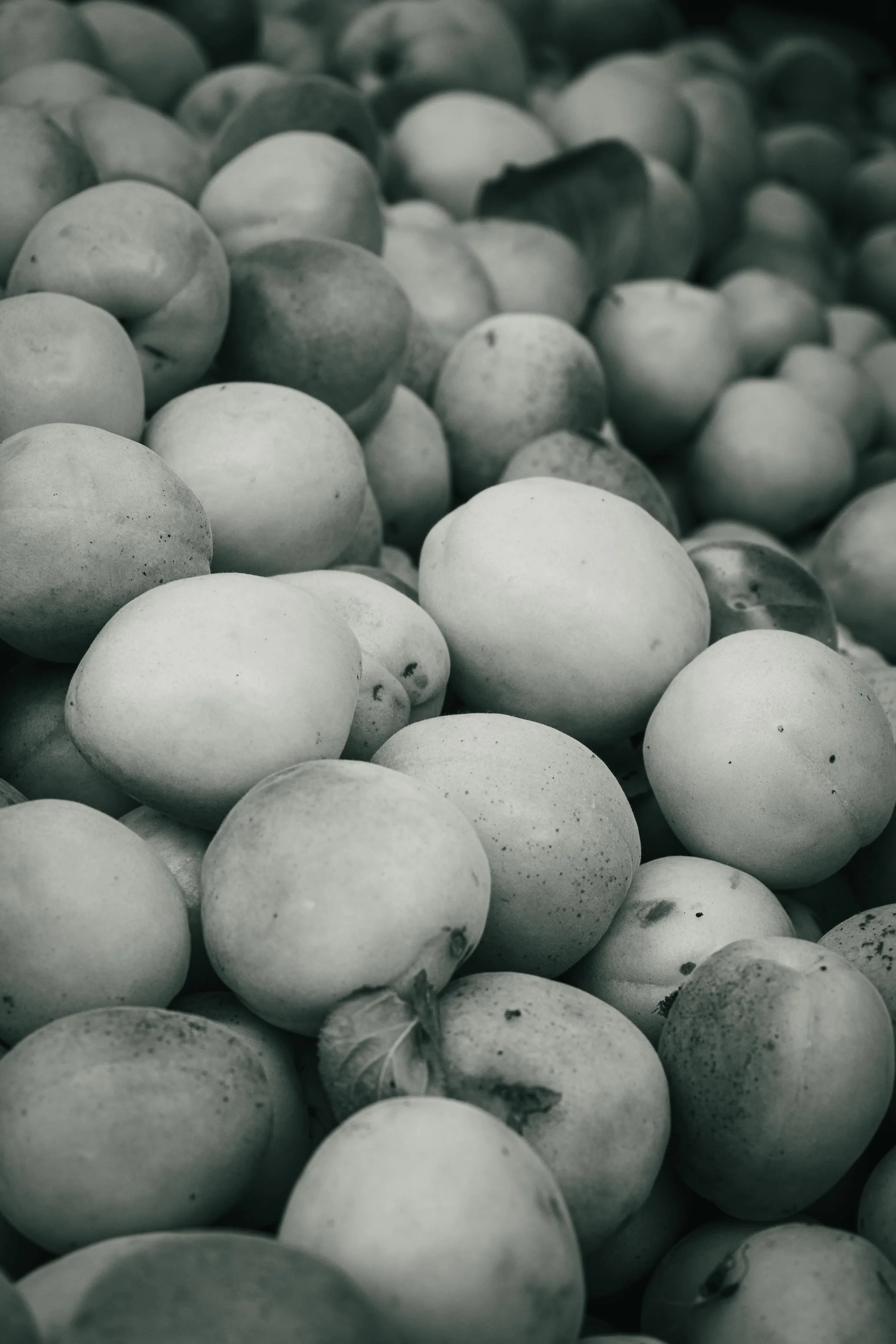 Farmer's Market Textures-17.jpg