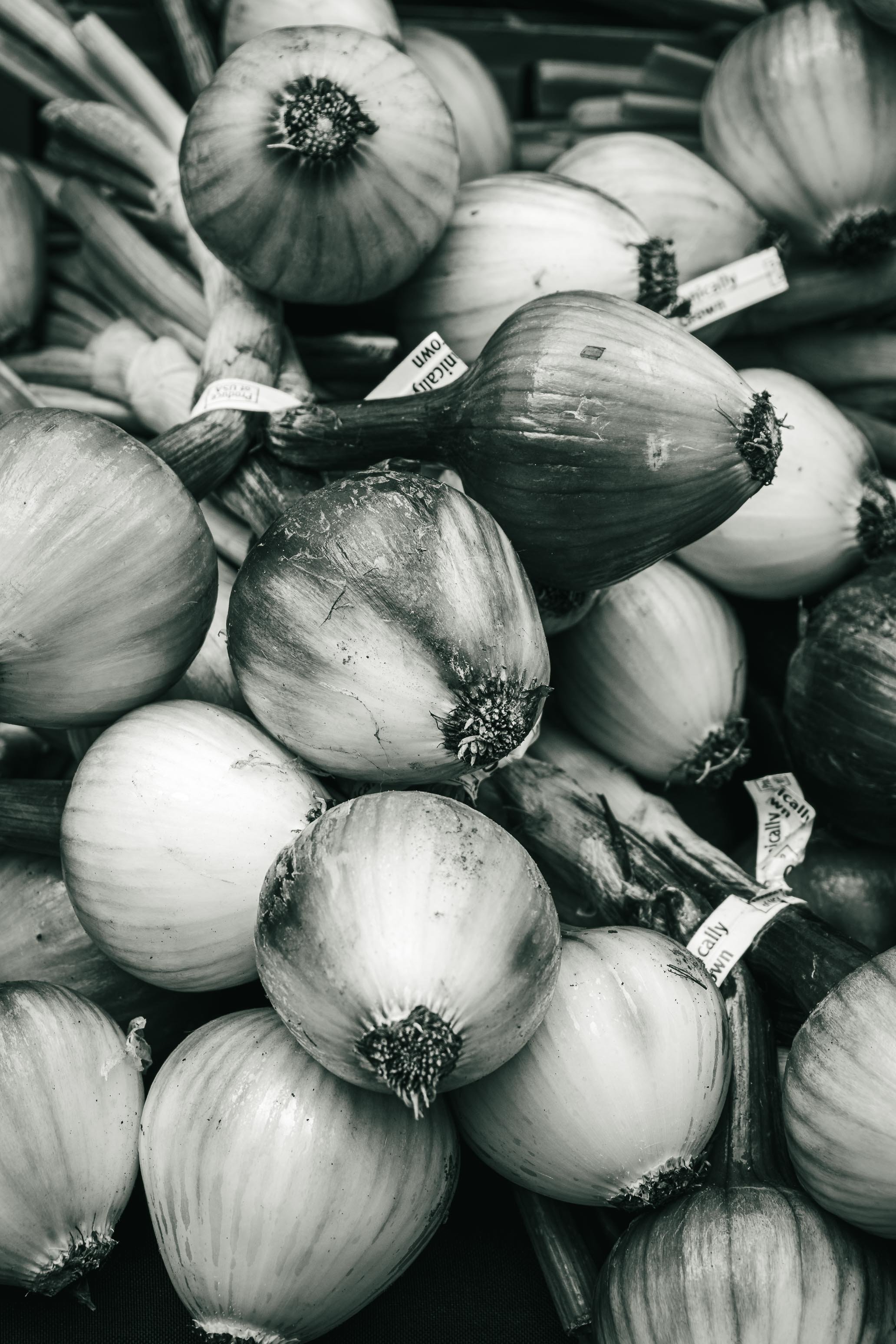 Farmer's Market Textures-31.jpg