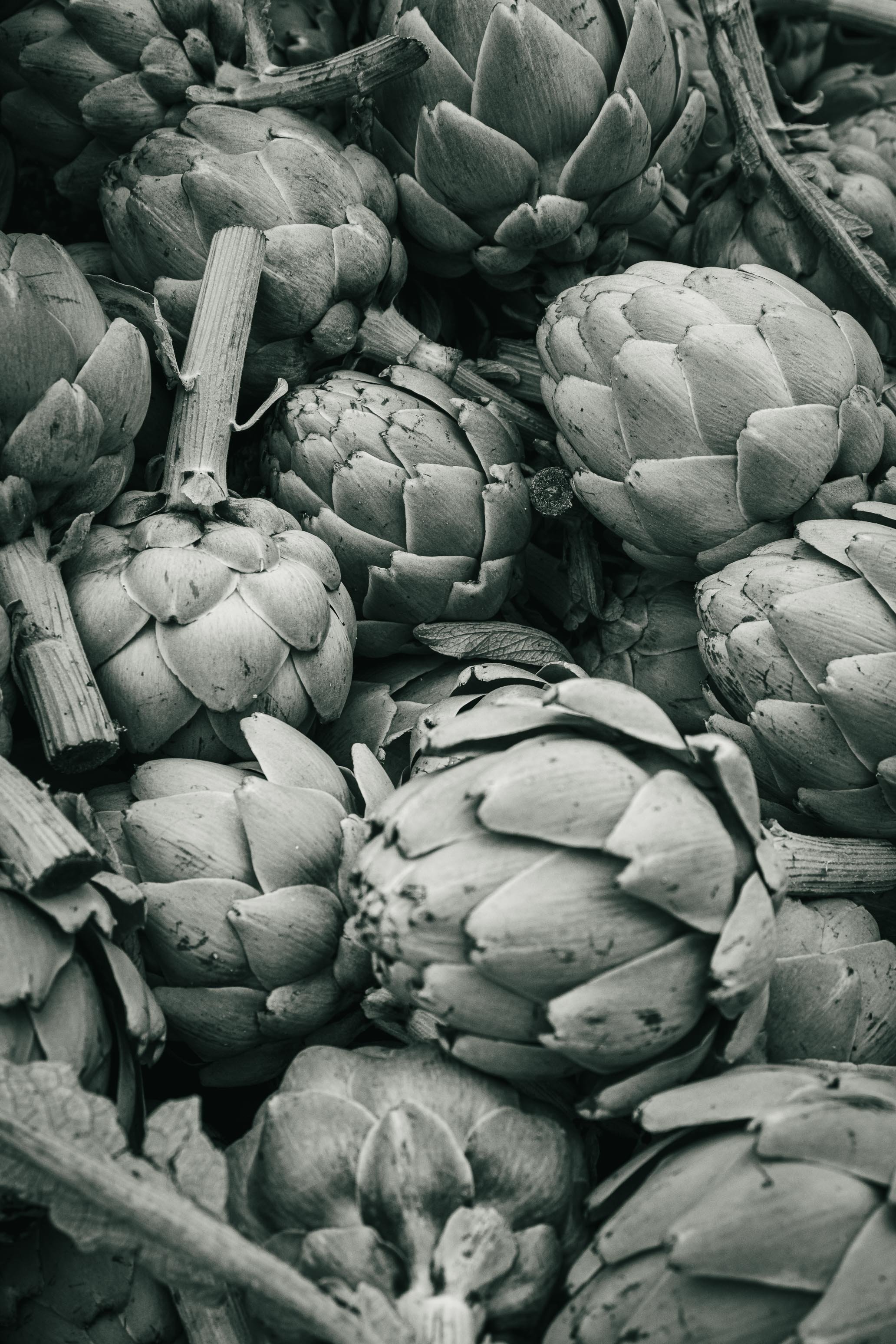 Farmer's Market Textures-26.jpg