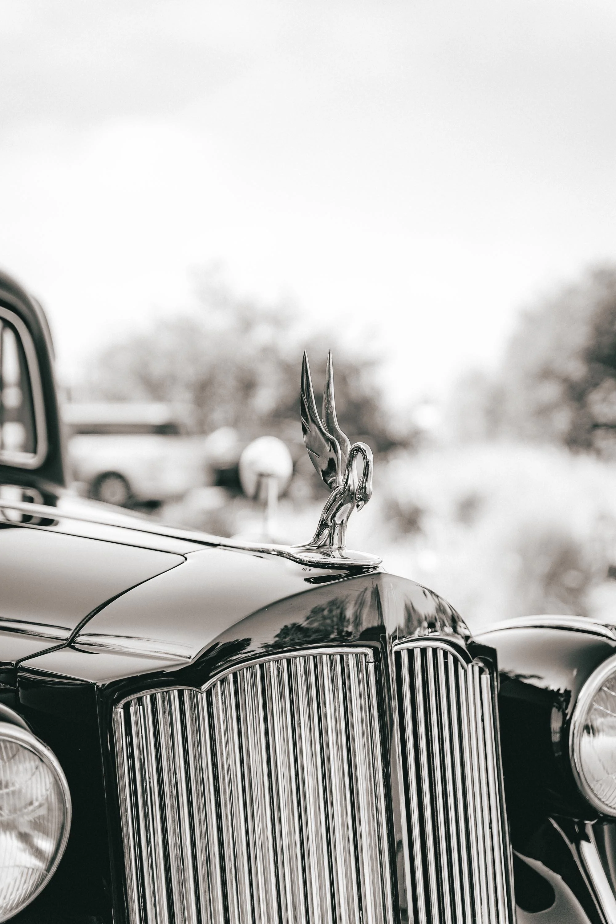 Packard Roughs-2.jpg