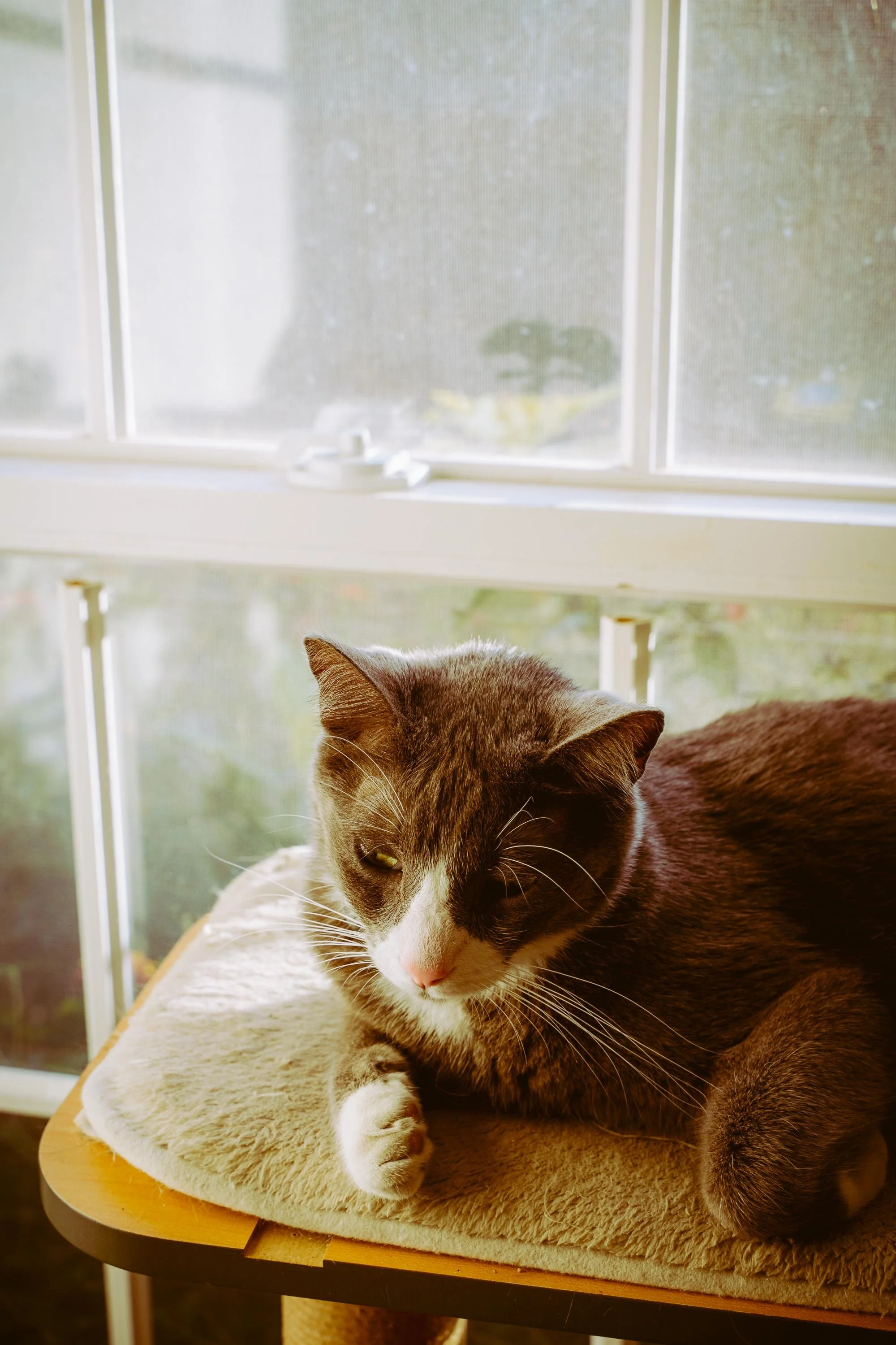 L&L Friendsgiving 2024-58.jpg