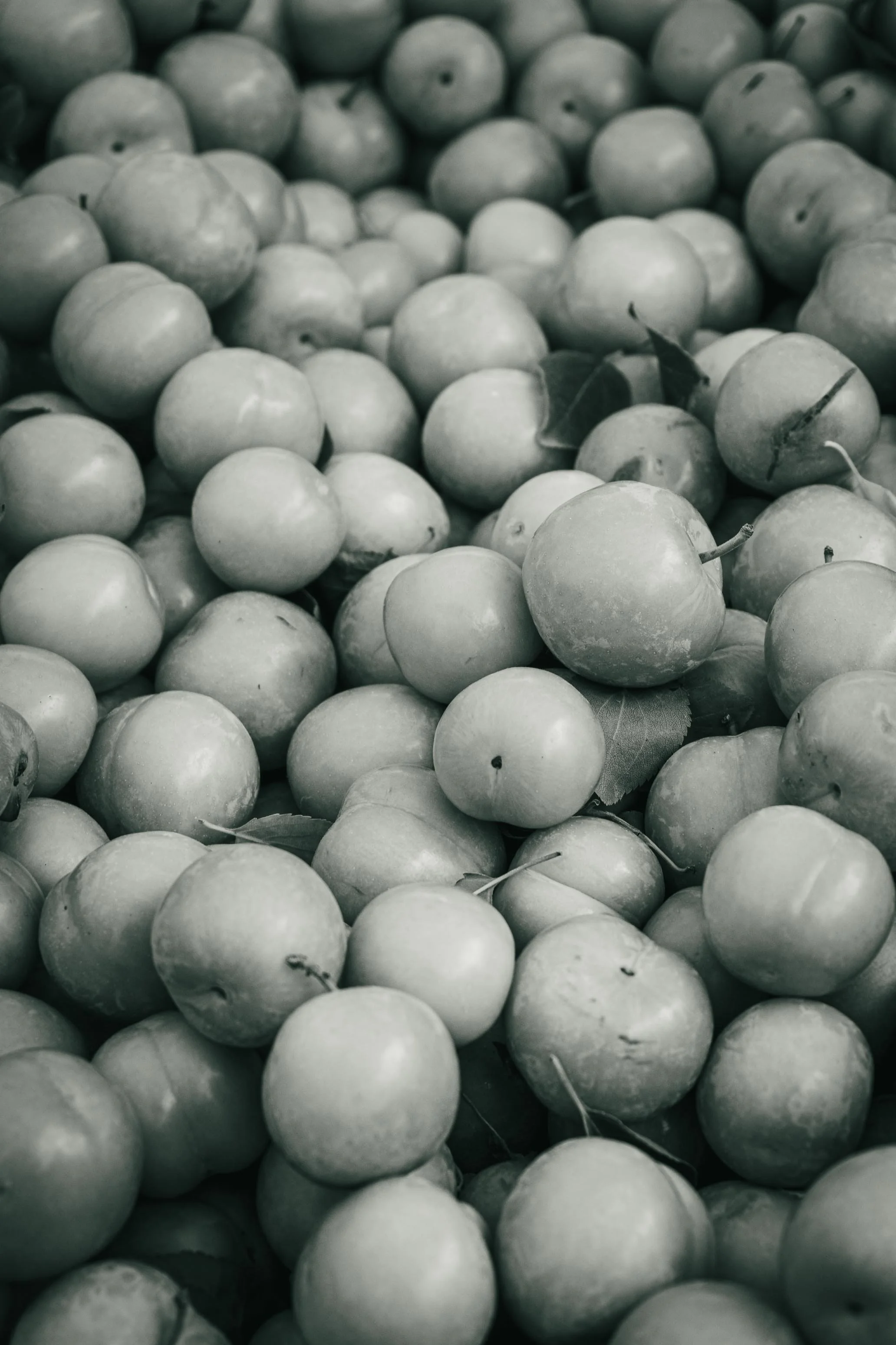 Farmer's Market Textures-18.jpg