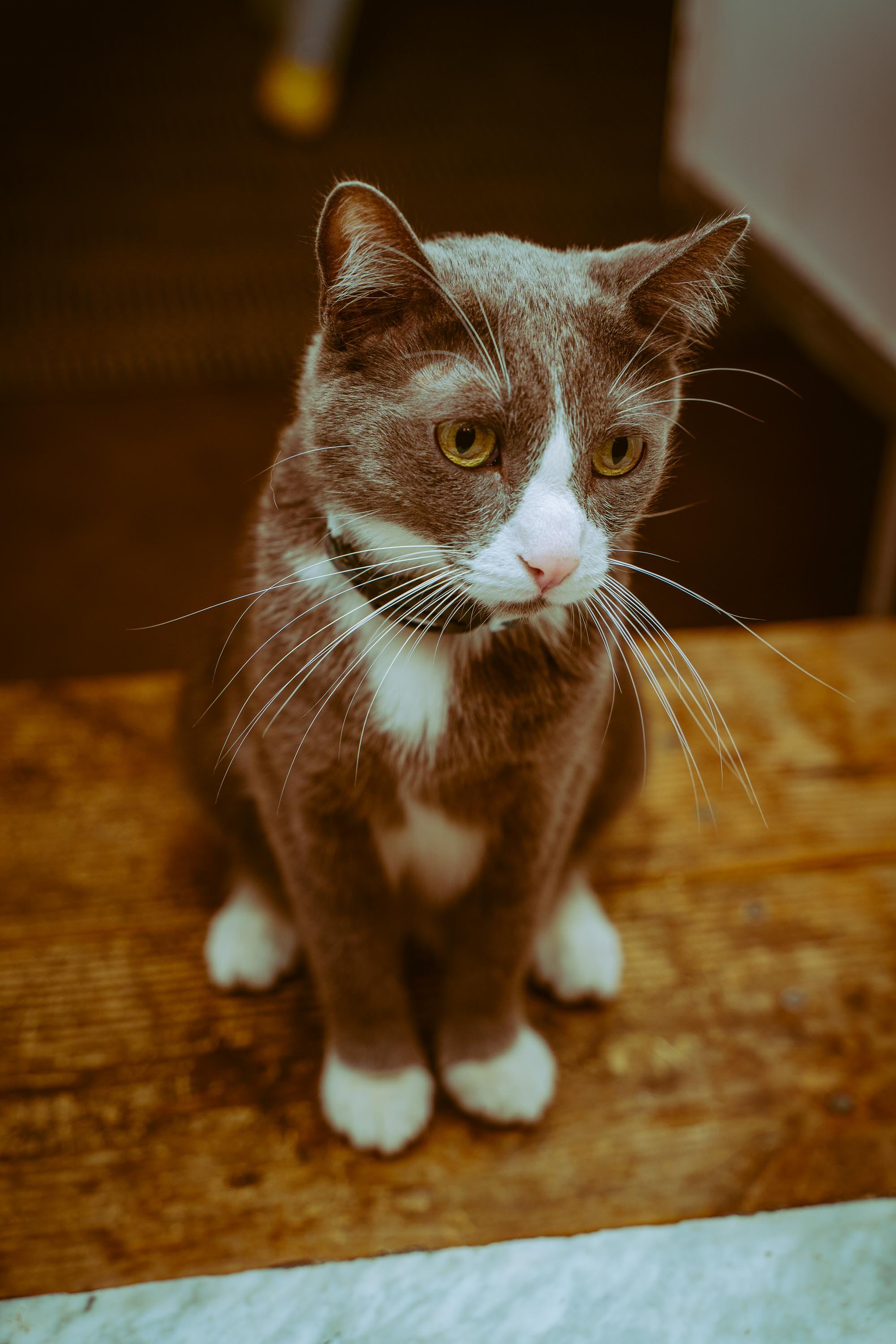 L&L Friendsgiving 2024-14.jpg