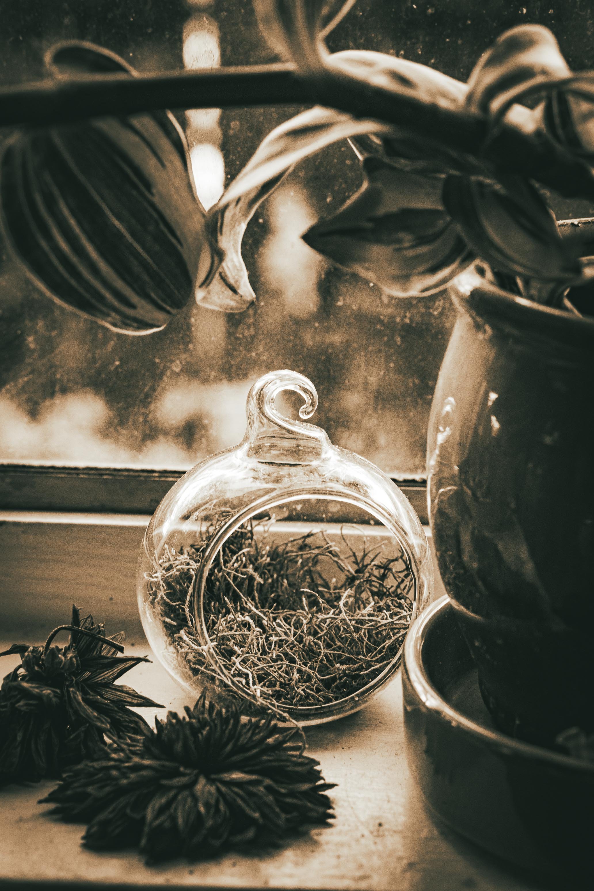 WIndowsill Assemblage-2.jpg