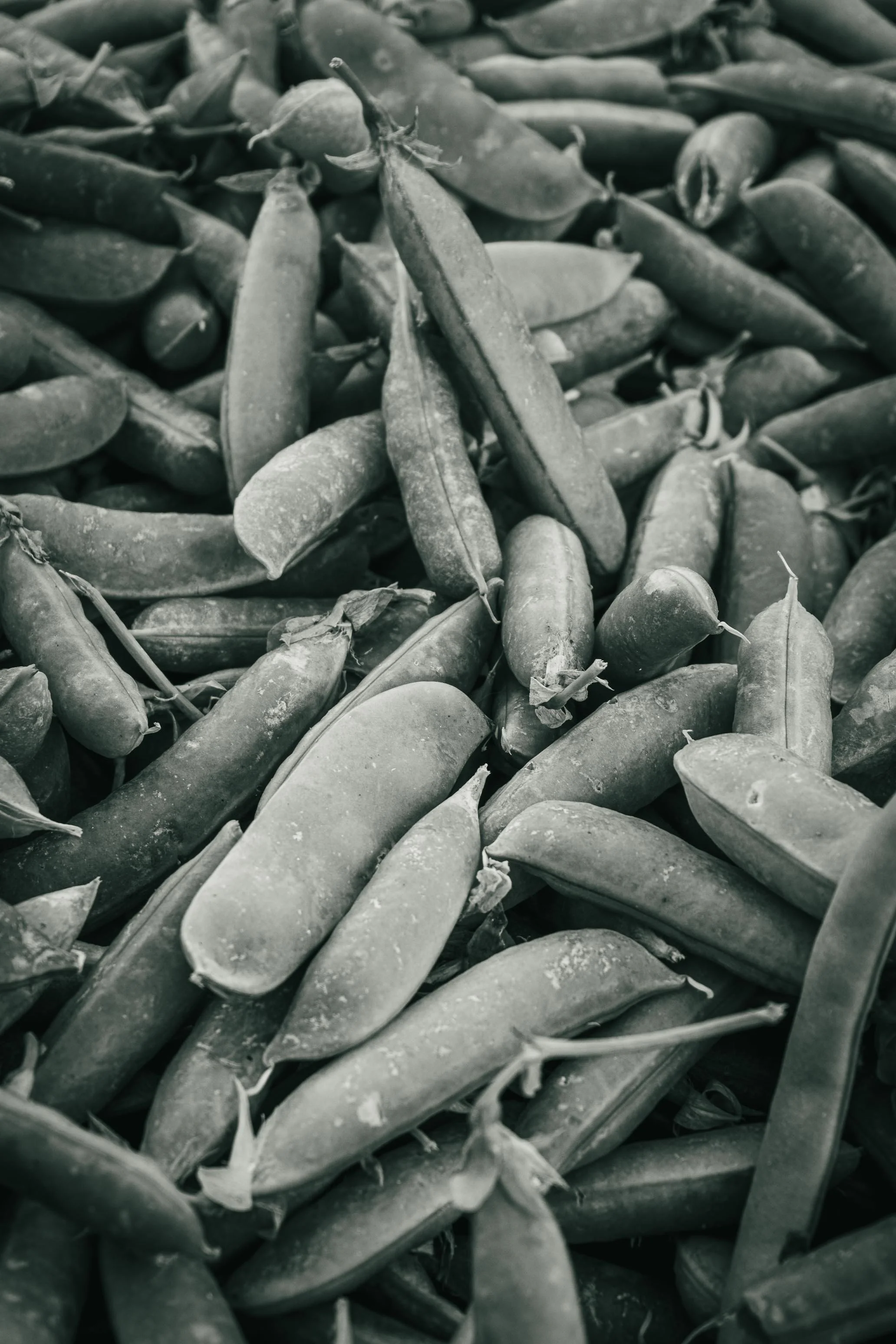 Farmer's Market Textures-39.jpg