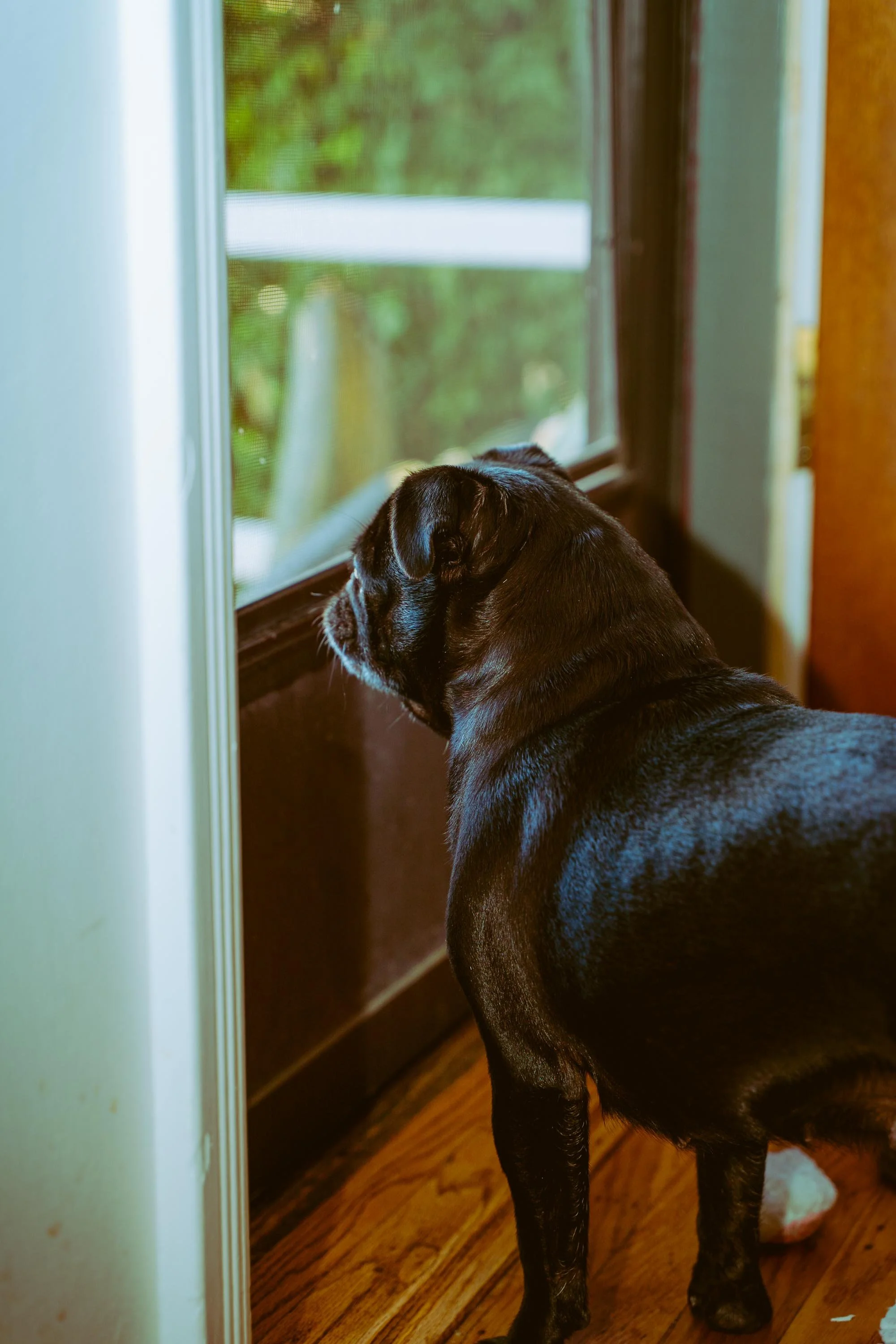 L&L Friendsgiving 2024-30.jpg