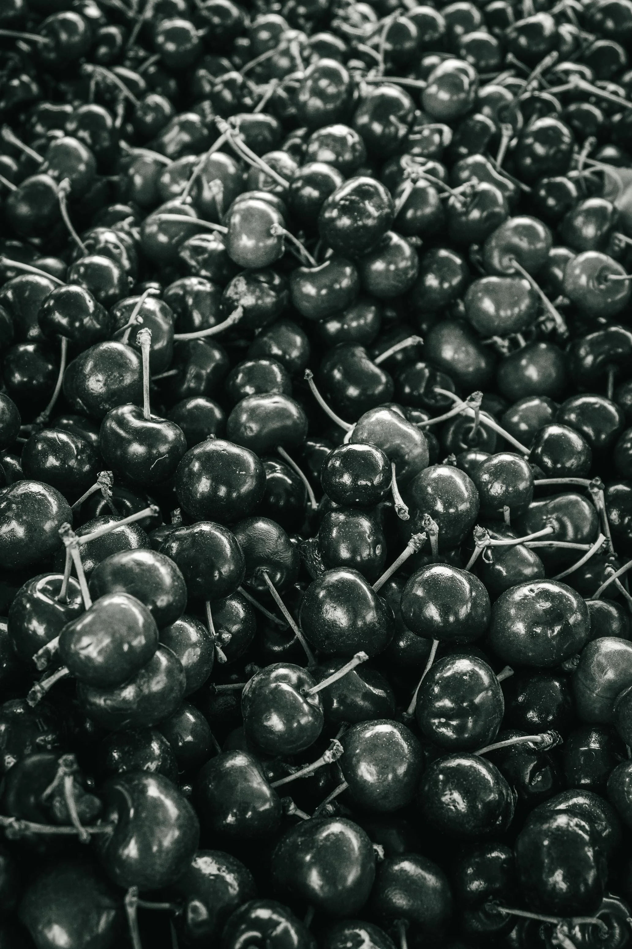 Farmer's Market Textures-37.jpg