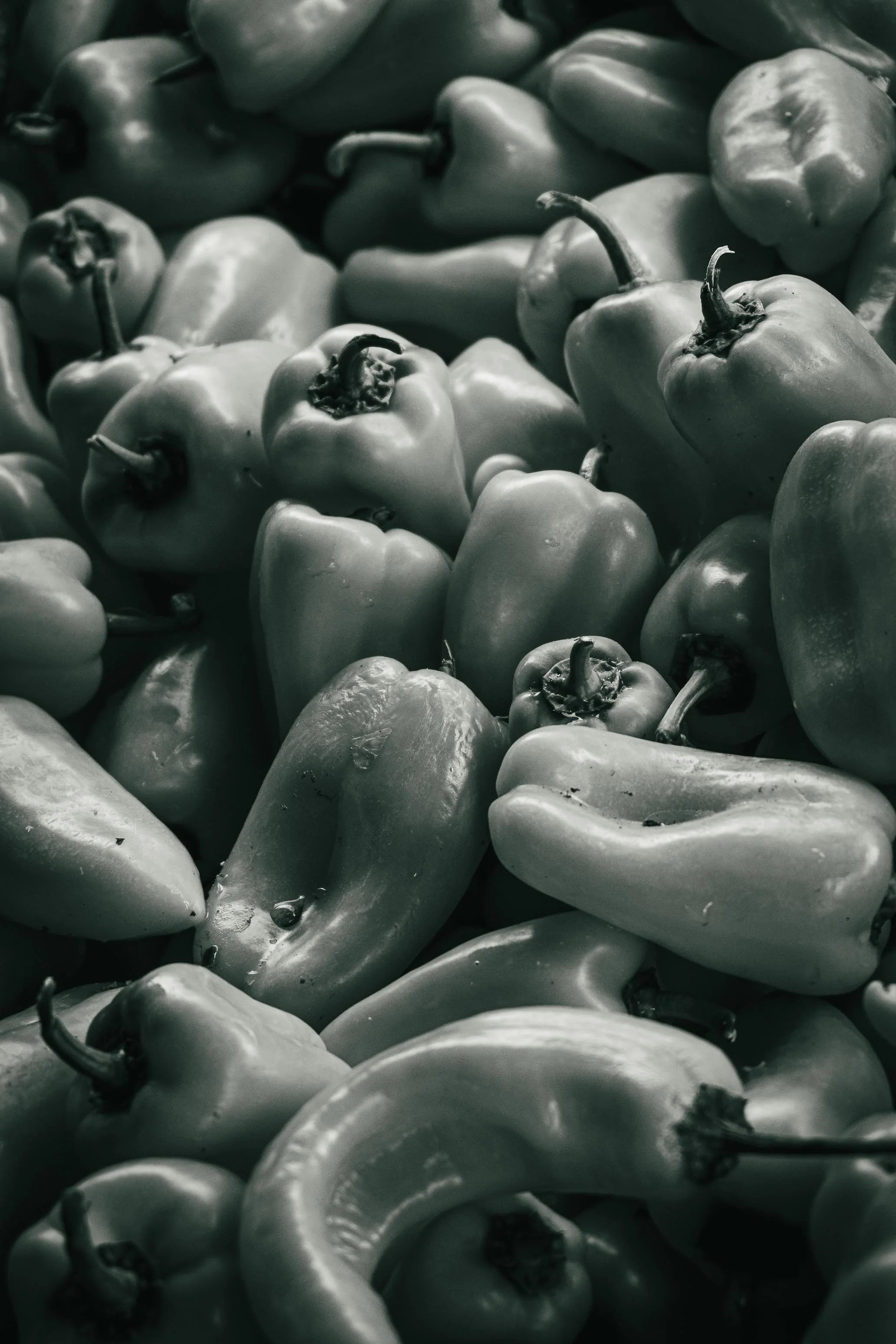 Farmer's Market Textures-11.jpg