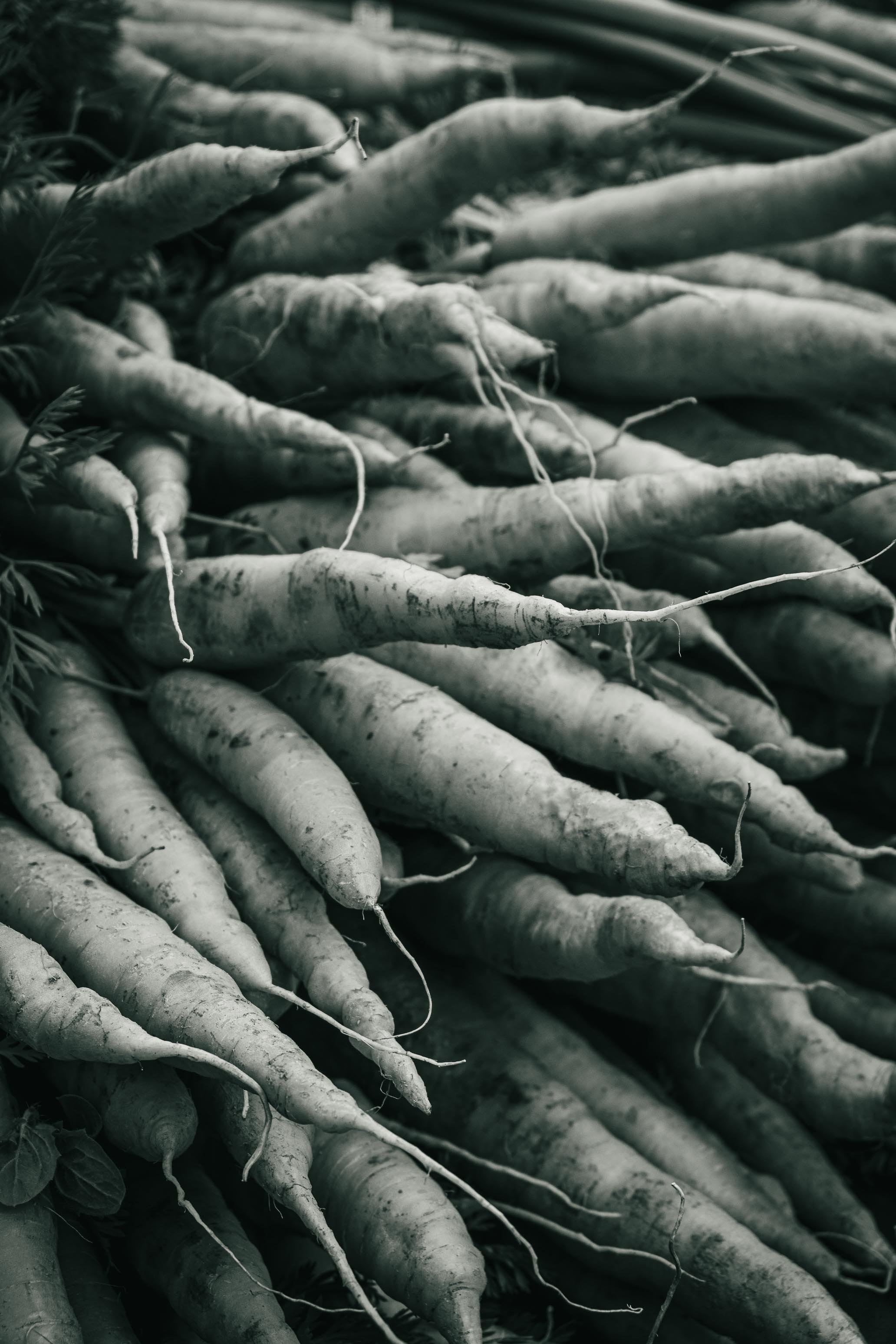 Farmer's Market Textures-23.jpg