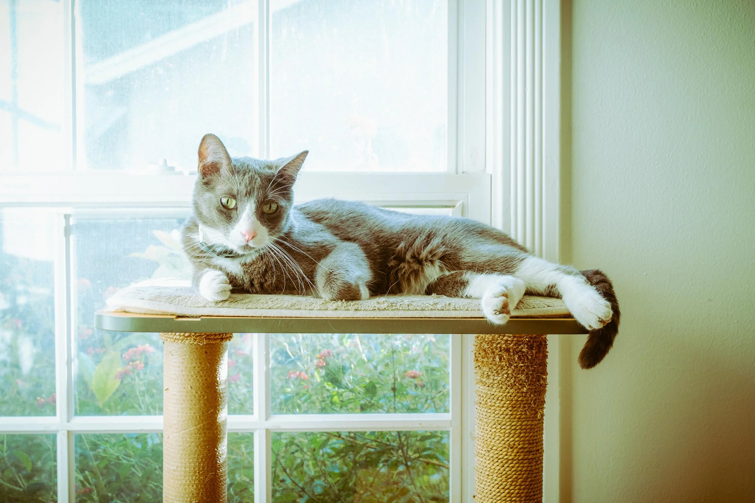 L&L Friendsgiving 2024-55.jpg