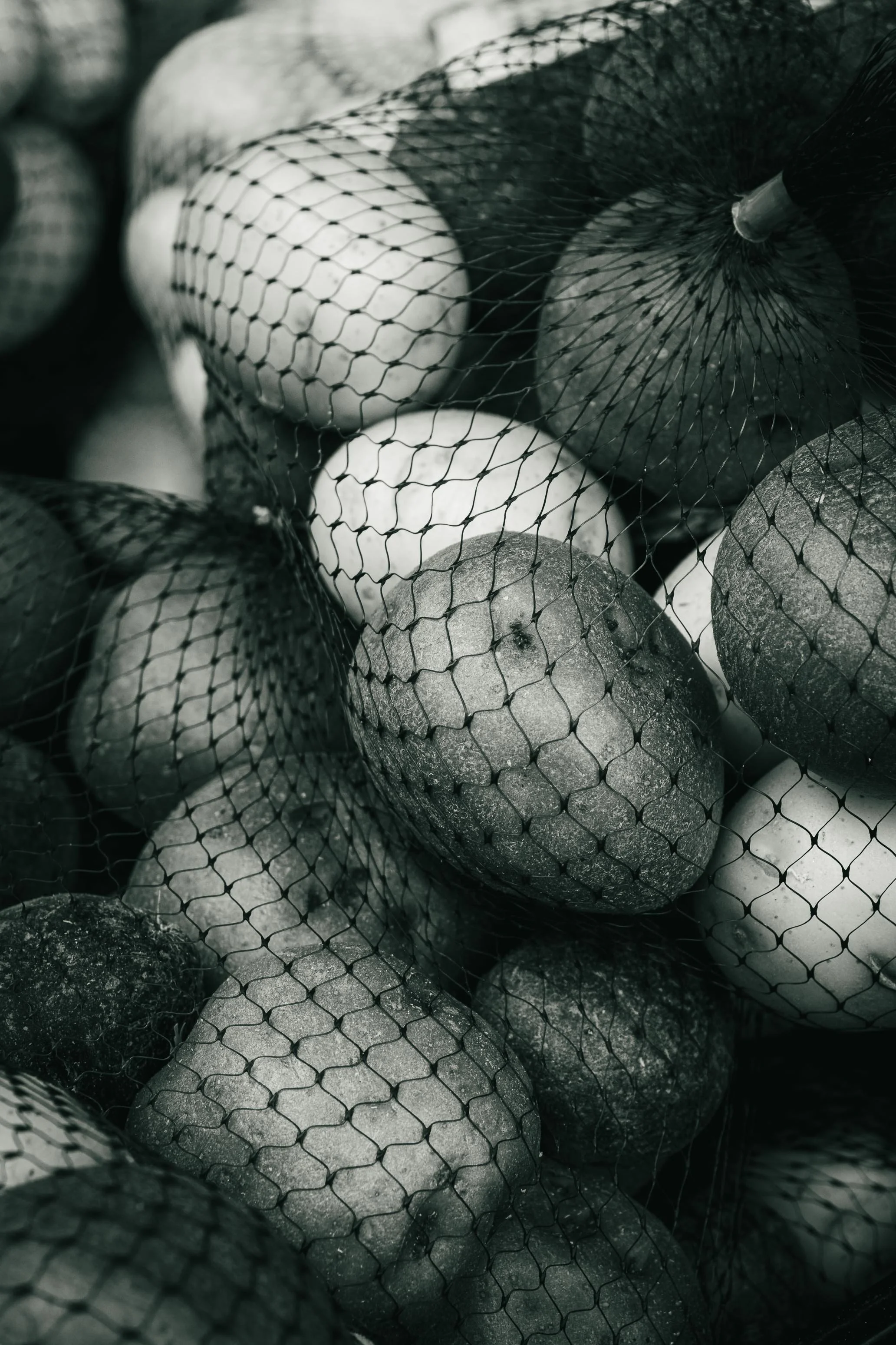 Farmer's Market Textures-59.jpg