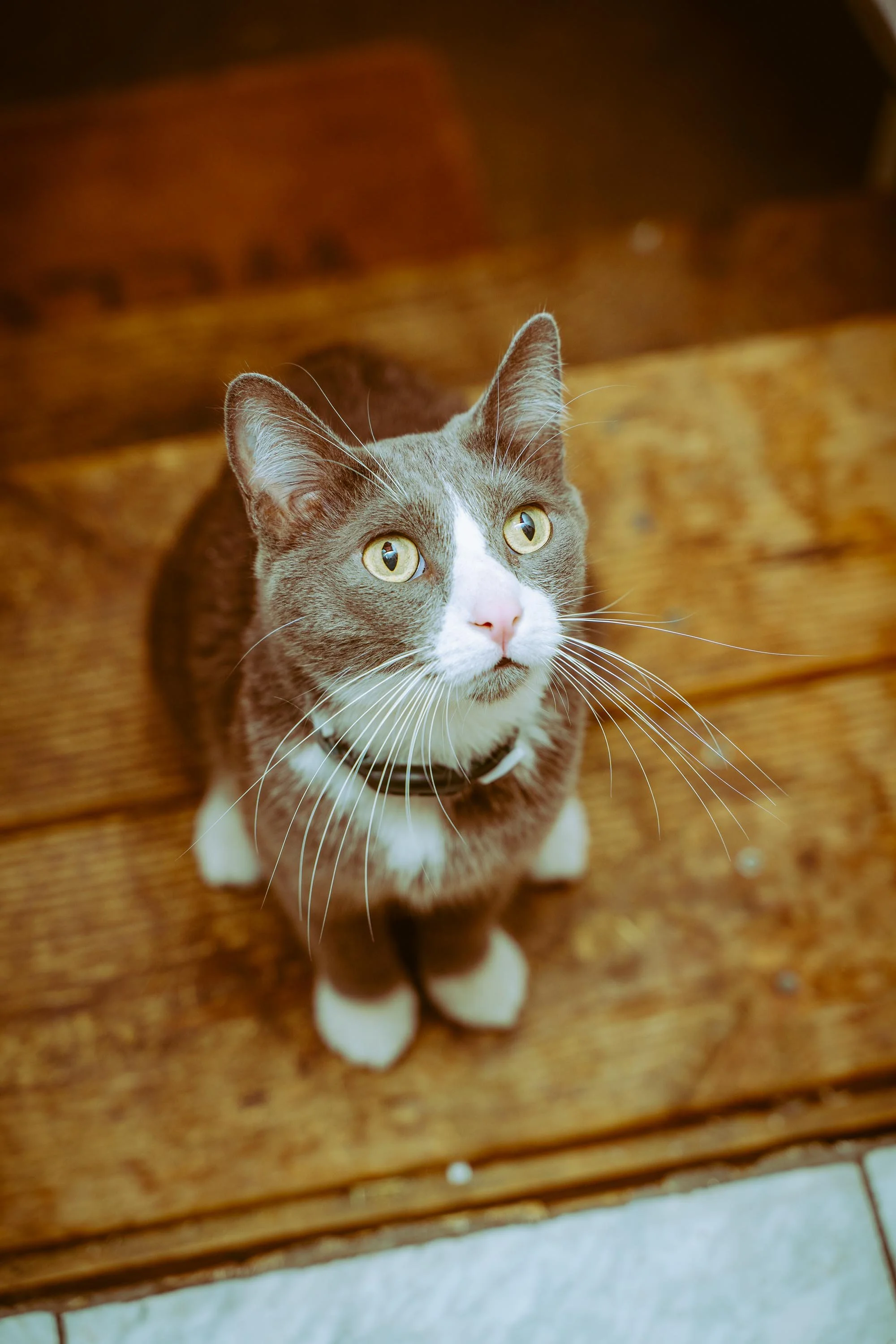 L&L Friendsgiving 2024-11.jpg